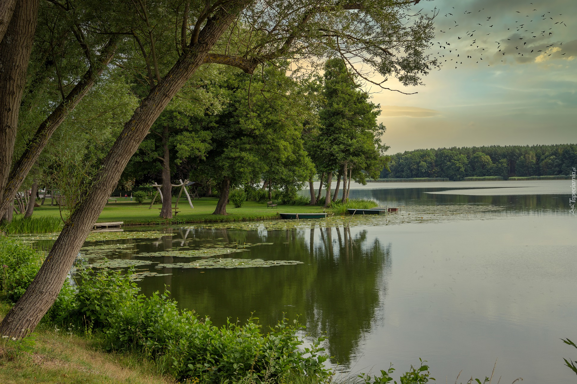 Jezioro Lychensee, Park, Drzewa, Łódki, Ptaki, Uckermark, Brandenburgia, Niemcy