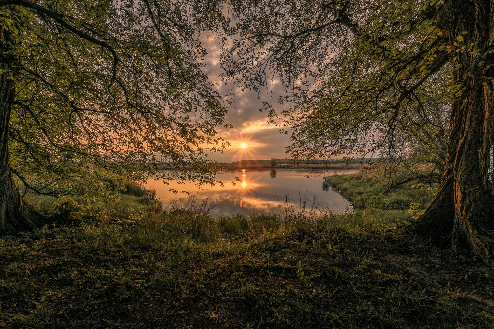 Jezioro, Trawa, Drzewa, Zachód słońca, Chmury