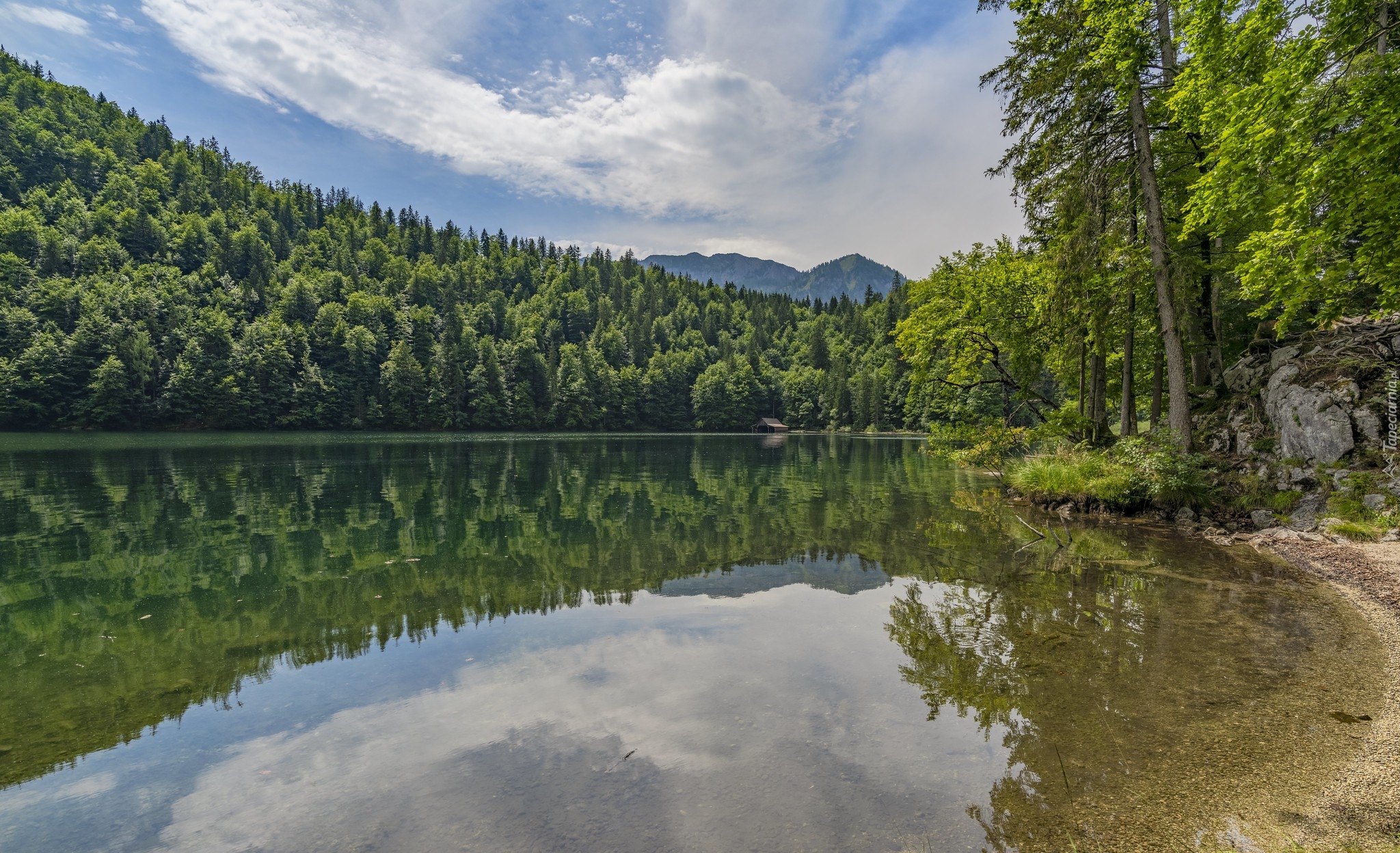 Jezioro, Toplitzsee, Brzeg, Las, Drzewa, Góry, Alpy, Odbicie, Chmury, Austria