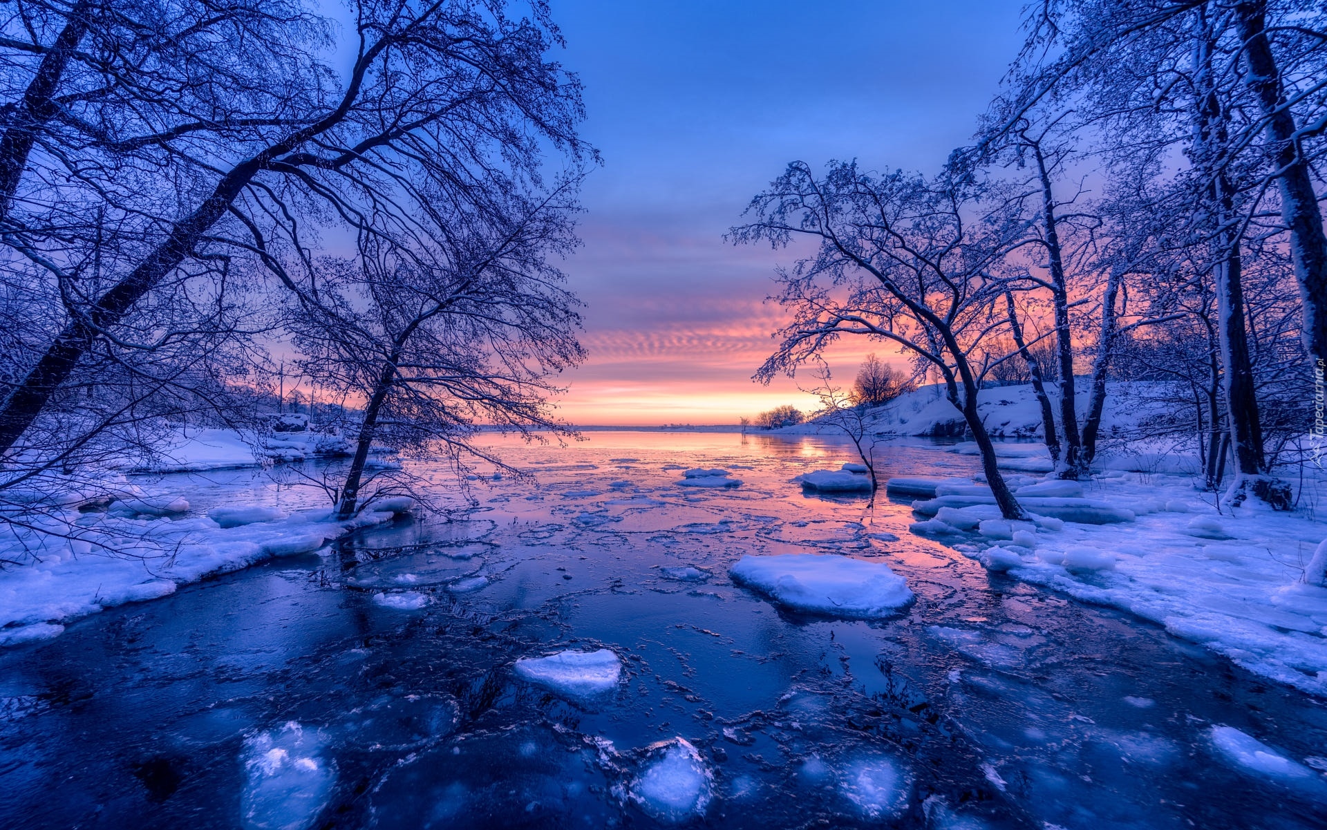 Zima, Rzeka, Drzewa, Wschód słońca, Finlandia