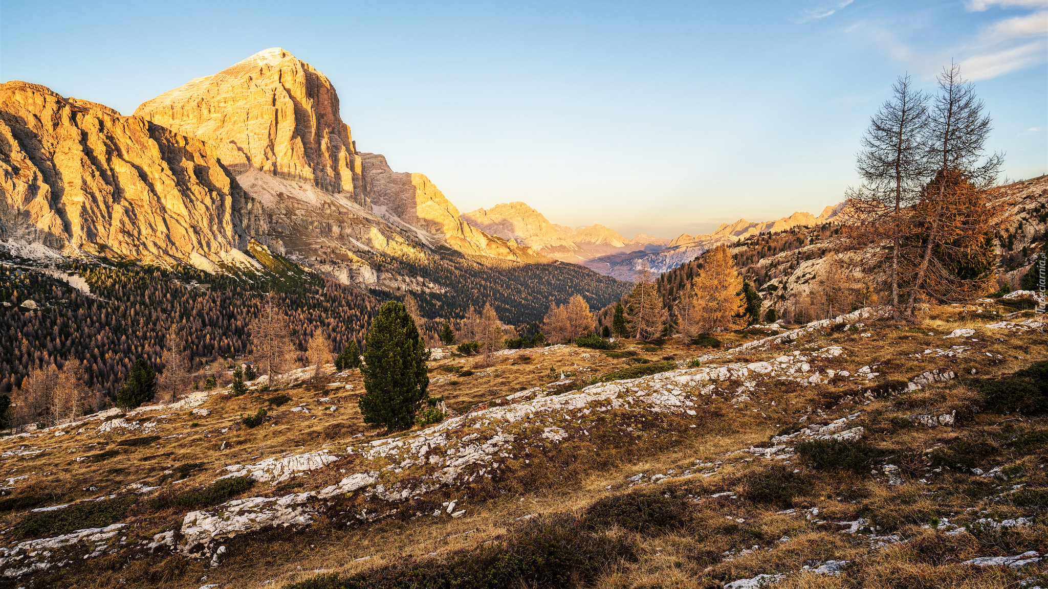 Włochy, Prowincja Belluno, Gmina Cortina dAmpezzo, Góry Tofany, Dolomity, Las, Drzewa, Zachód słońca