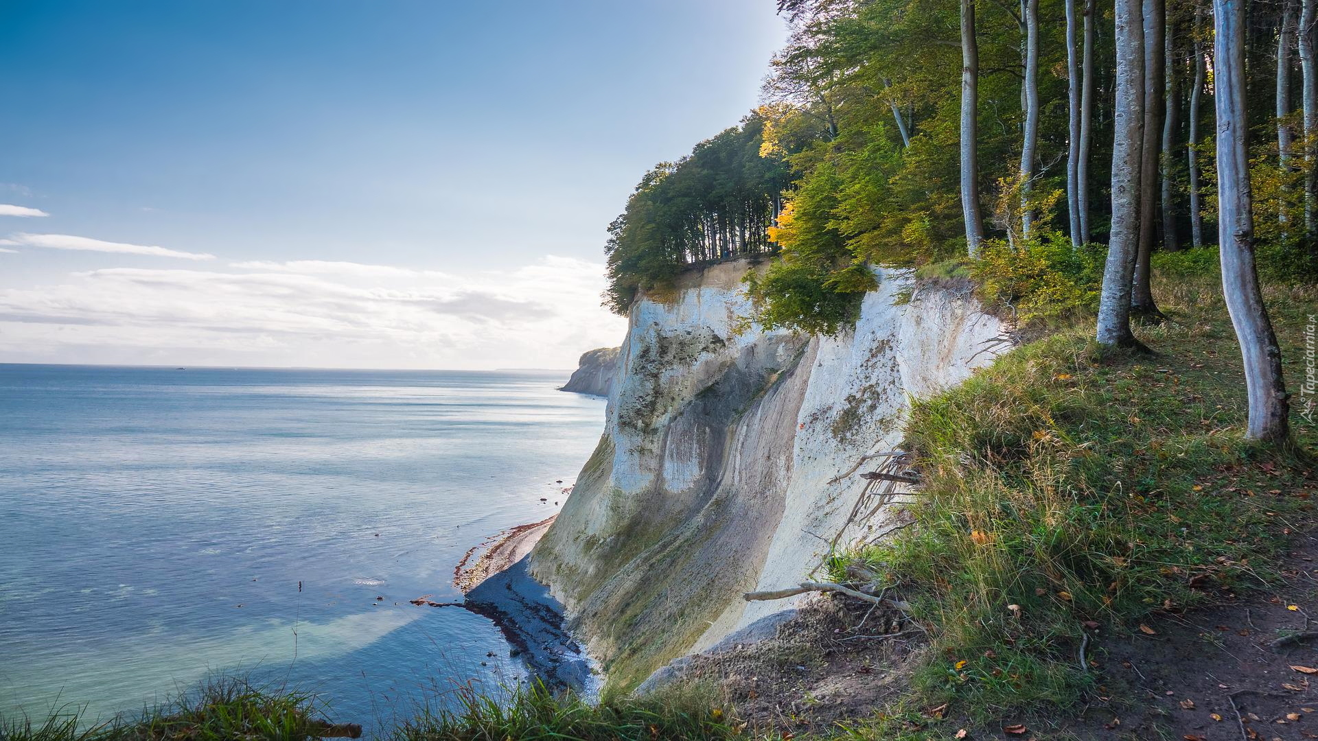 Niemcy, Wyspa Rugia, Park Narodowy Jasmund, Klif, Drzewa, Morze Bałtyckie