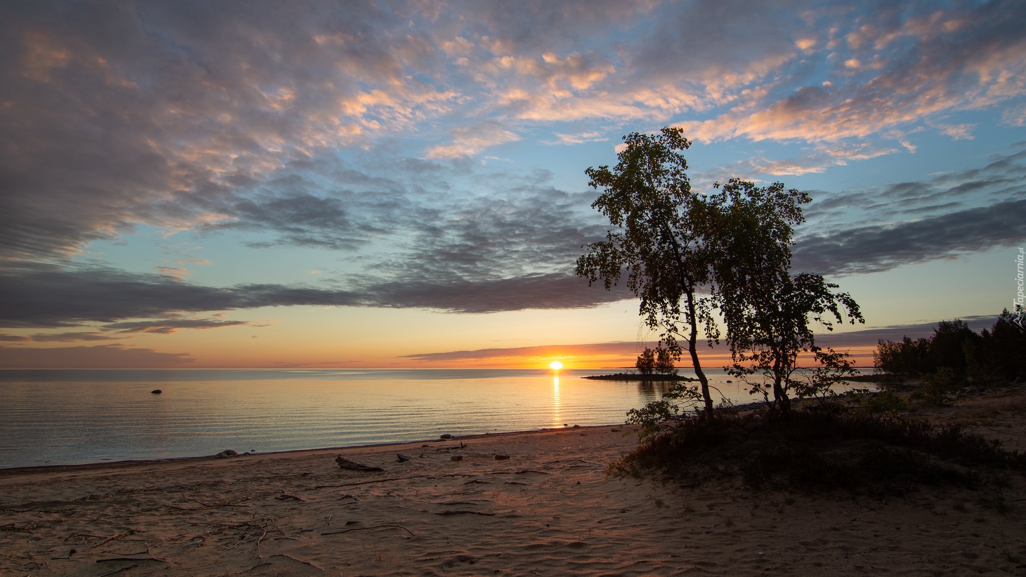 Zachód słońca, Morze, Plaża, Drzewa