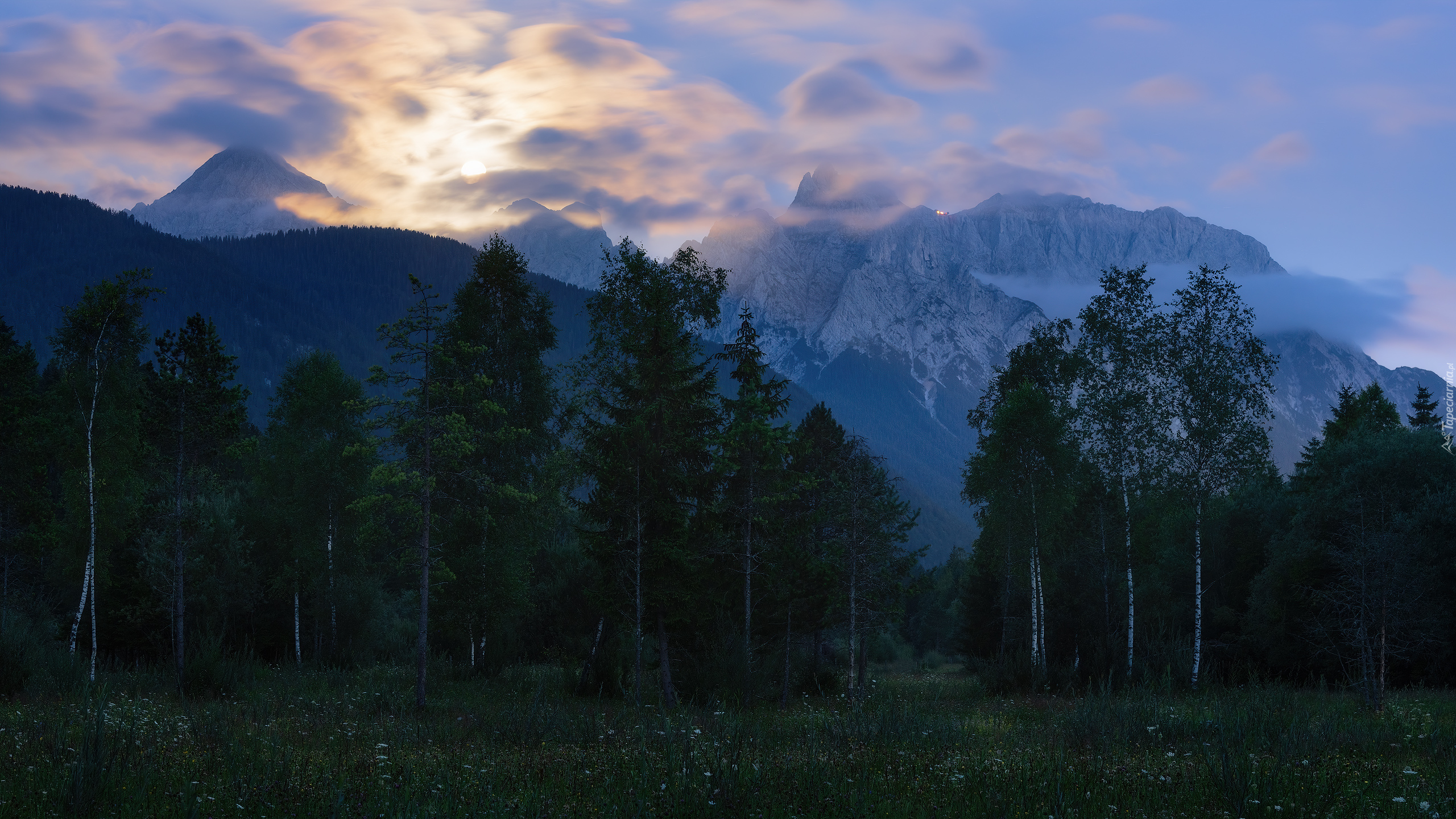 Góry, Drzewa, Rośliny, Pasmo górskie, Karwendel