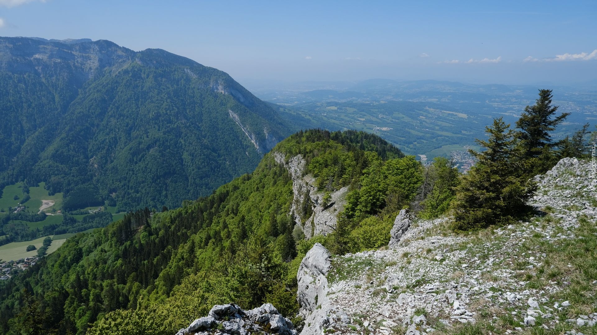 Góry, Las, Drzewa, Kamienie, Skały