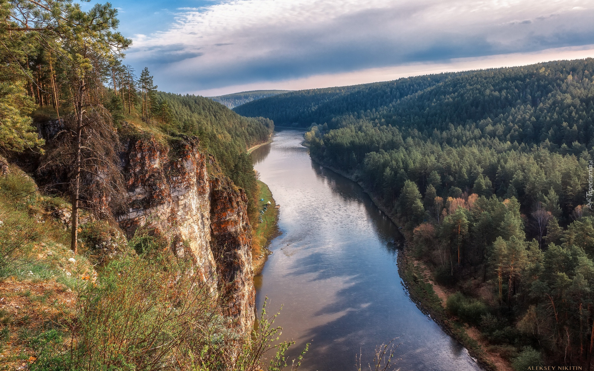 Rzeka, Wzgórza, Las, Drzewa