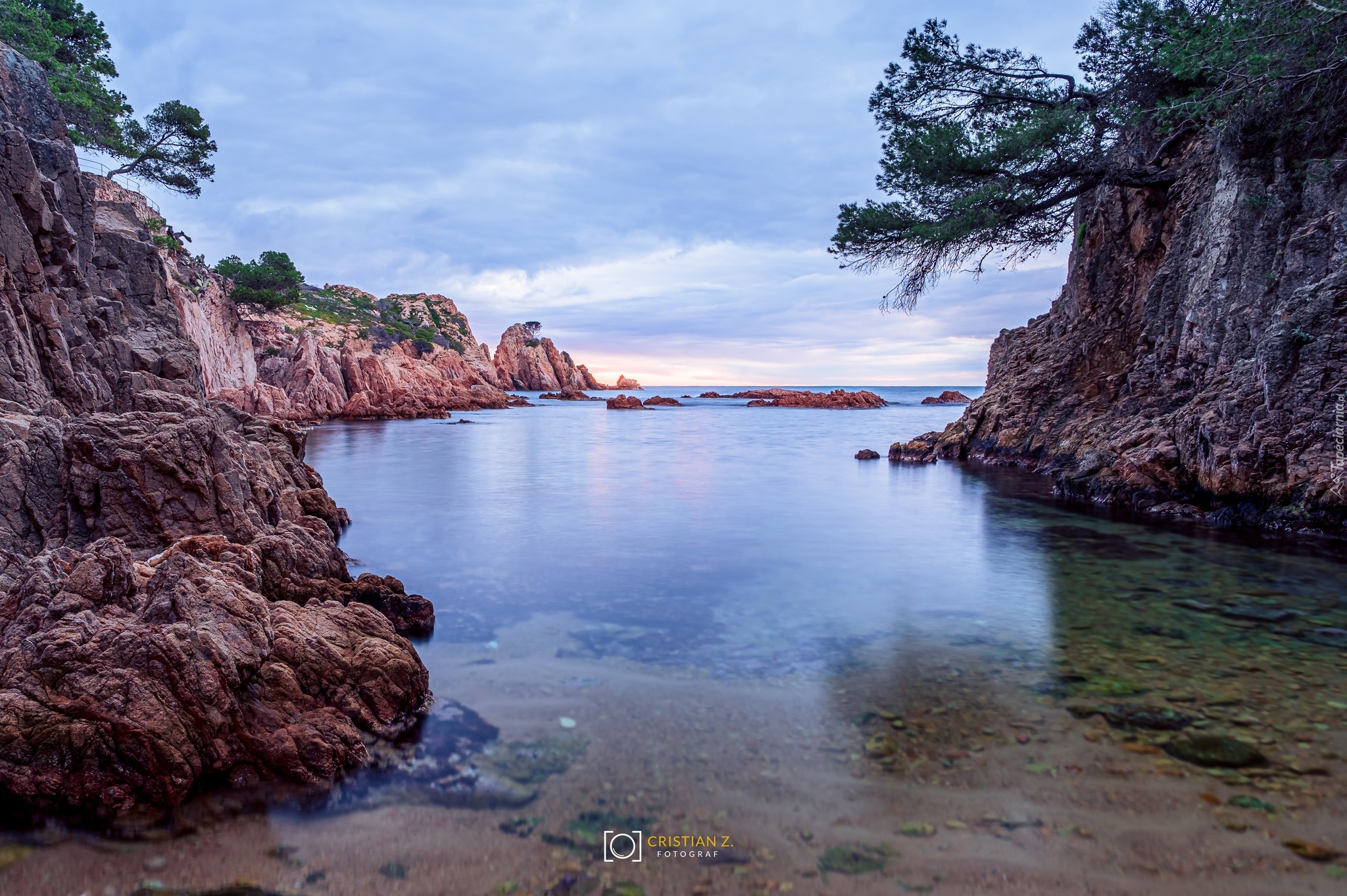 Morze Śródziemne, Wybrzeże, Skały, Drzewa, Costa Brava, Hiszpania