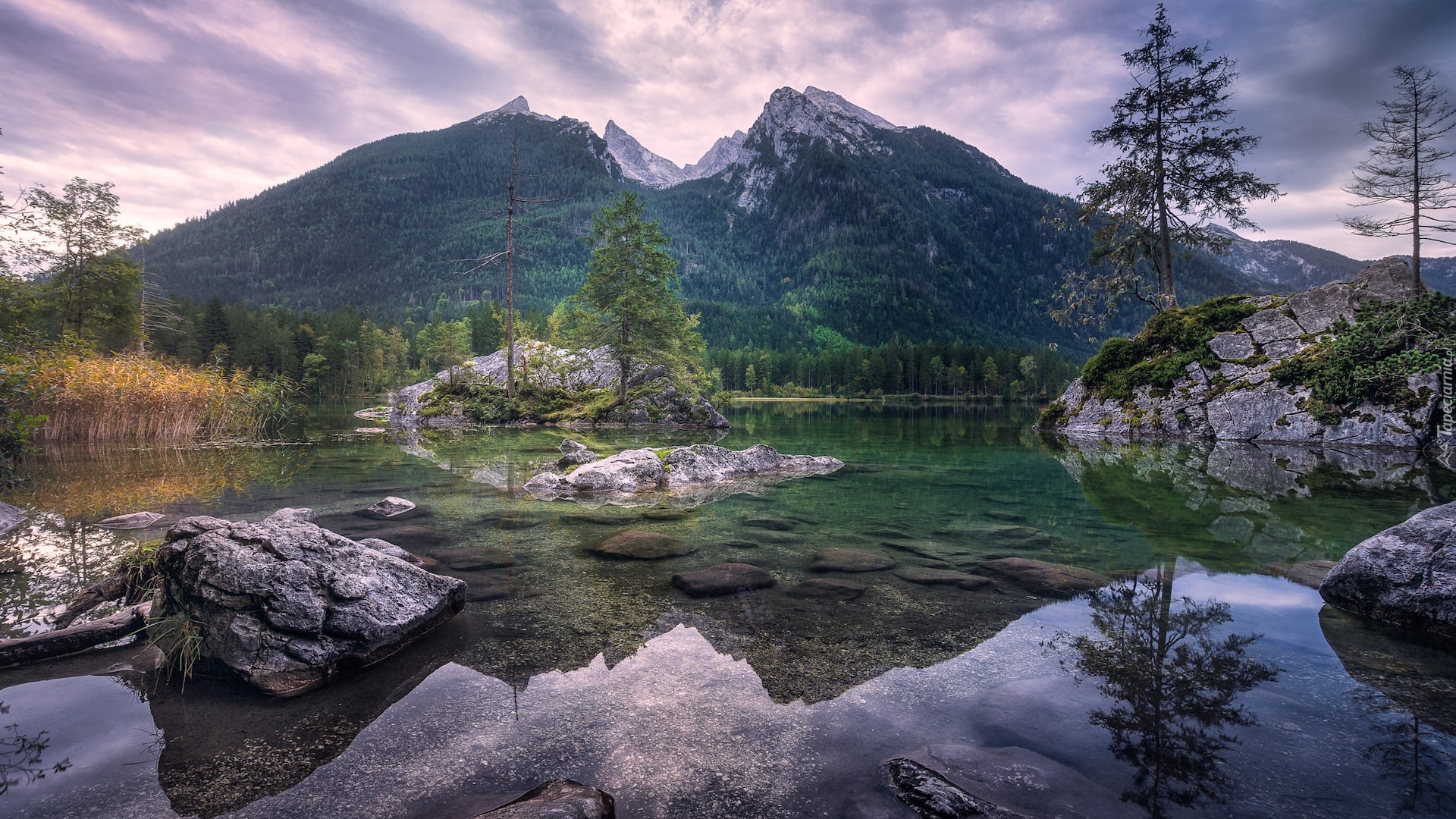 Niemcy, Bawaria, Góry, Alpy, Jezioro Hintersee, Skały, Drzewa, Las, Odbicie