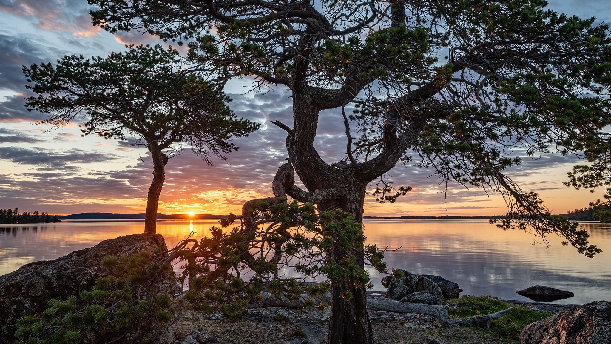 Jezioro, Lake Inari, Drzewa, Zachód słońca, Chmury, Laponia, Finlandia