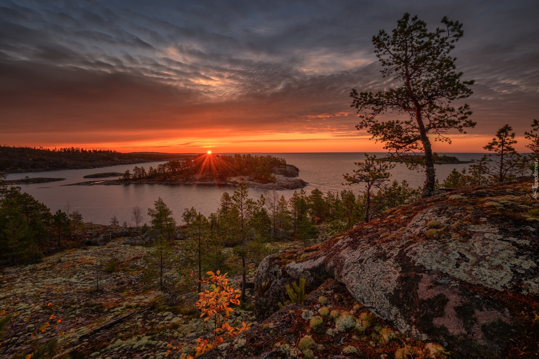 Rosja, Karelia, Jezioro, Ładoga, Skały, Drzewa, Niebo, Zachód słońca