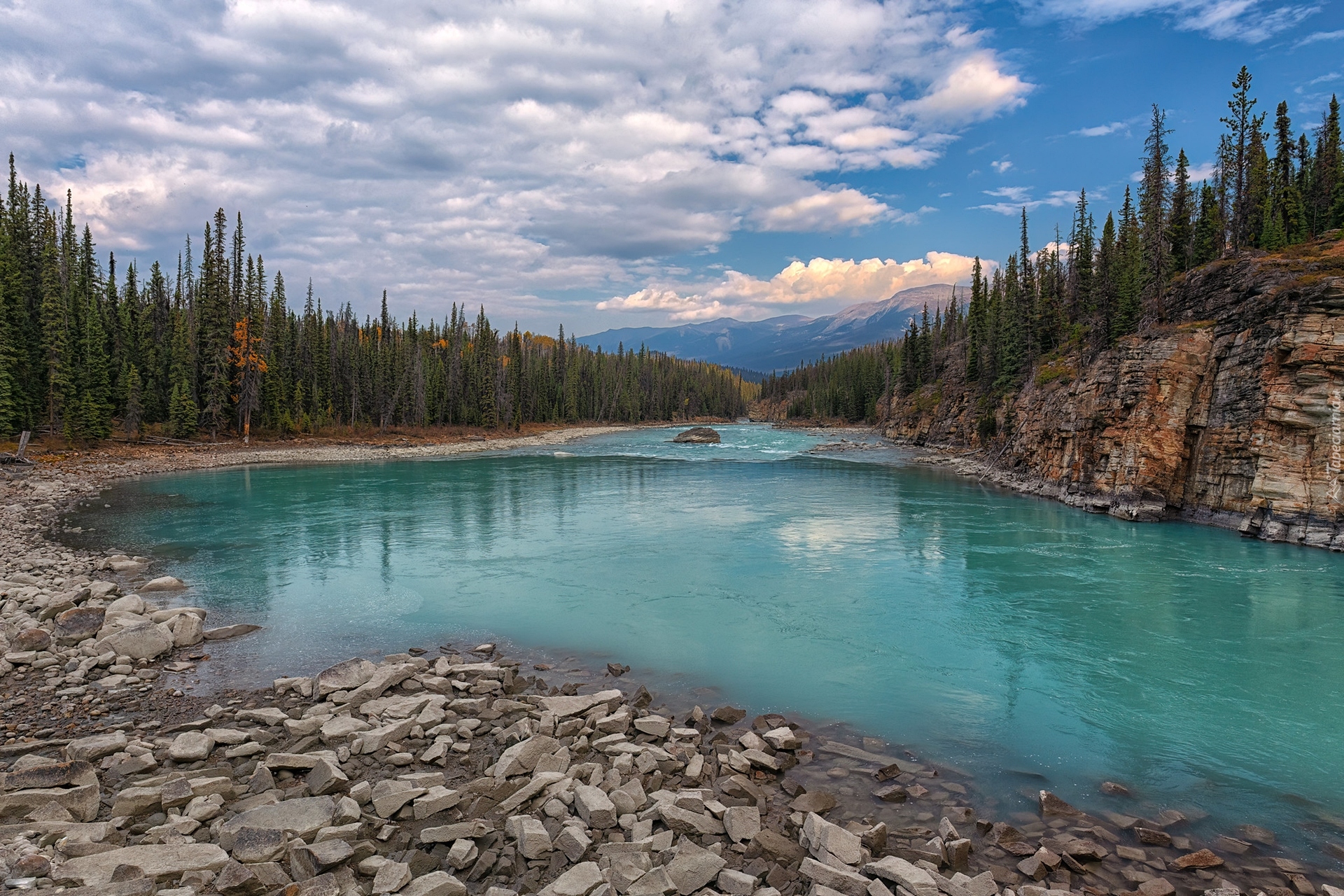 Park Narodowy Jasper, Góry, Drzewa, Las, Rzeka Athabasca, Alberta, Kanada