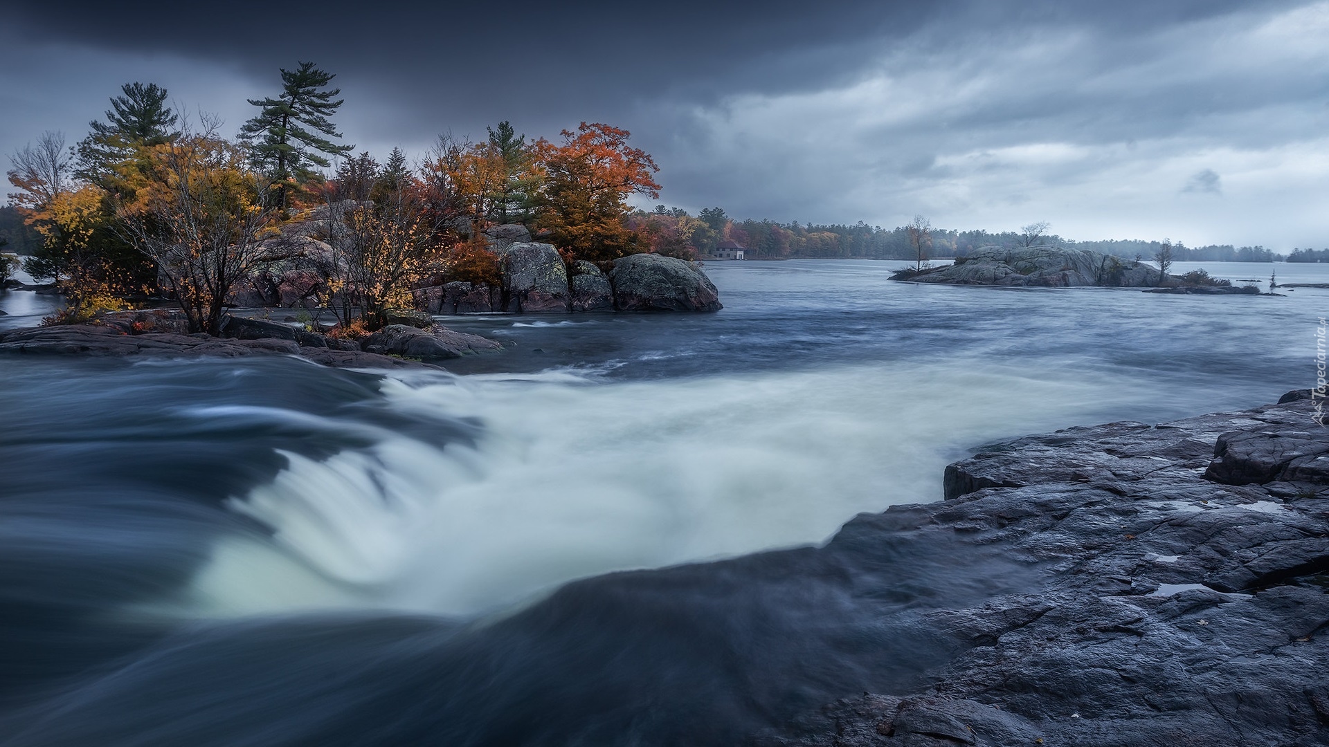 Rzeka, Torrent River, Skały, Drzewa, Nowa Zelandia