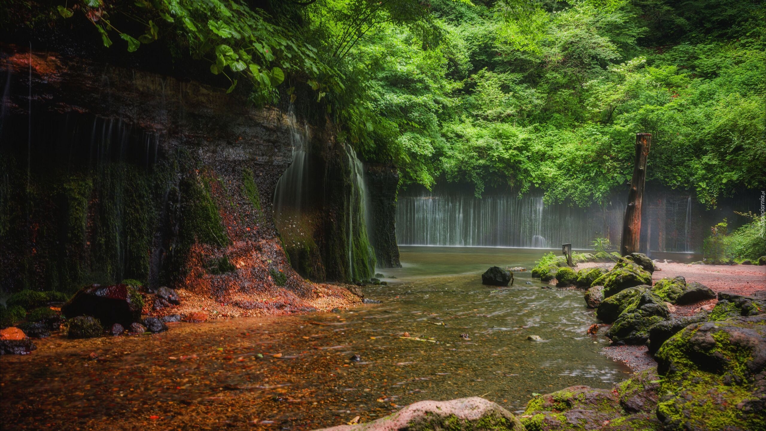 Japonia, Karuizawa, Shiraito Falls, Wodospady, Rzeka, Skała
