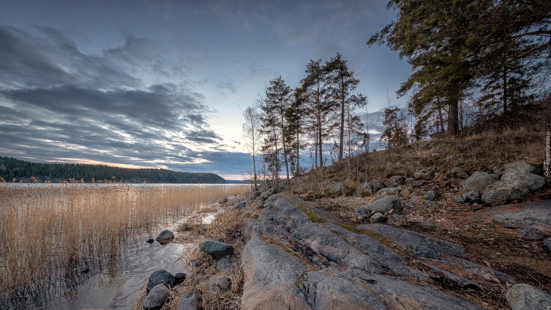 Zachód słońca, Drzewa, Trawy, Skały, Jezioro Ładoga, Zatoka Kiryavalahti, Karelia, Rosja