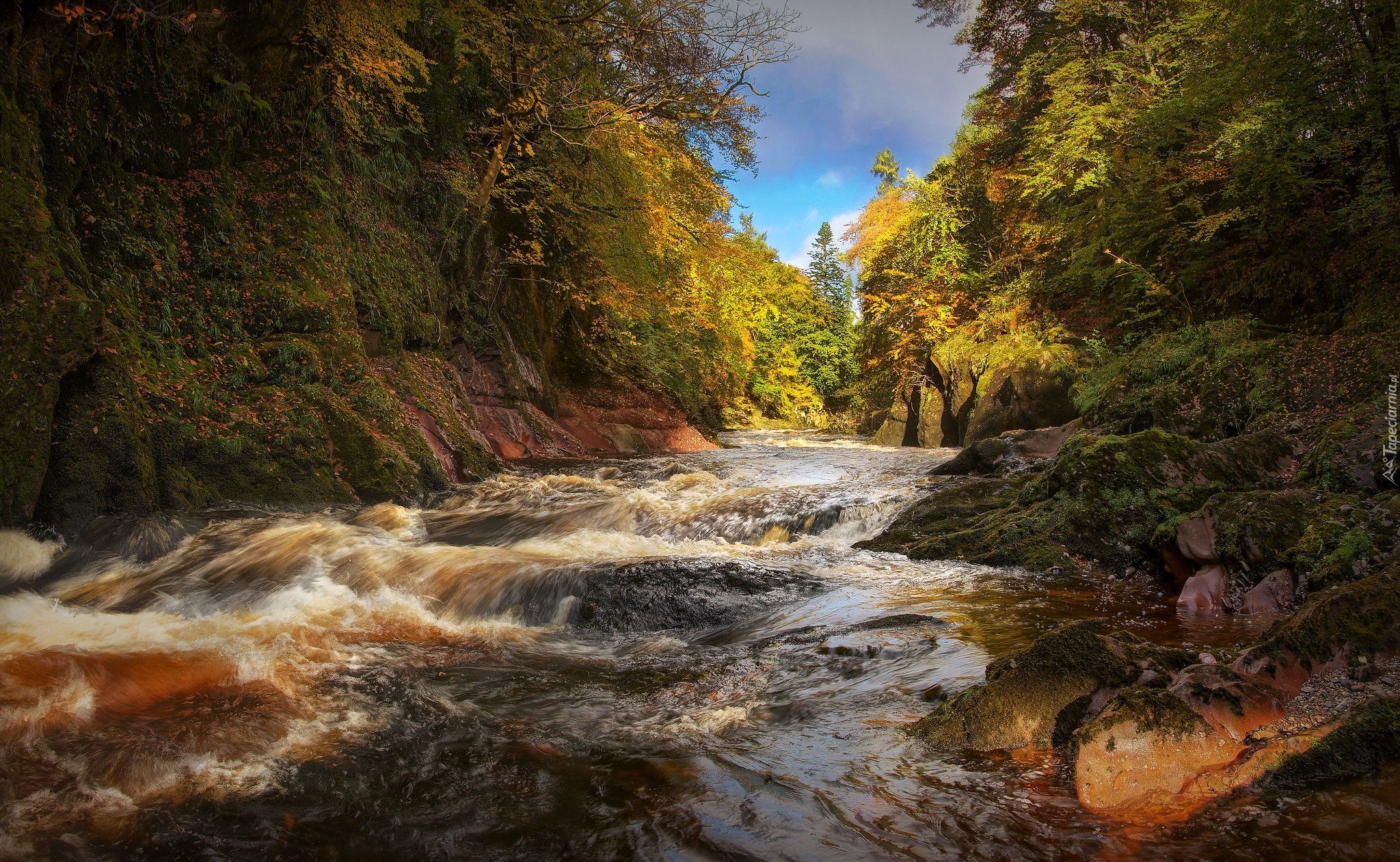 Szkocja, Edzell, River North Esk, Rwąca, Rzeka, Drzewa, Las, Jesień