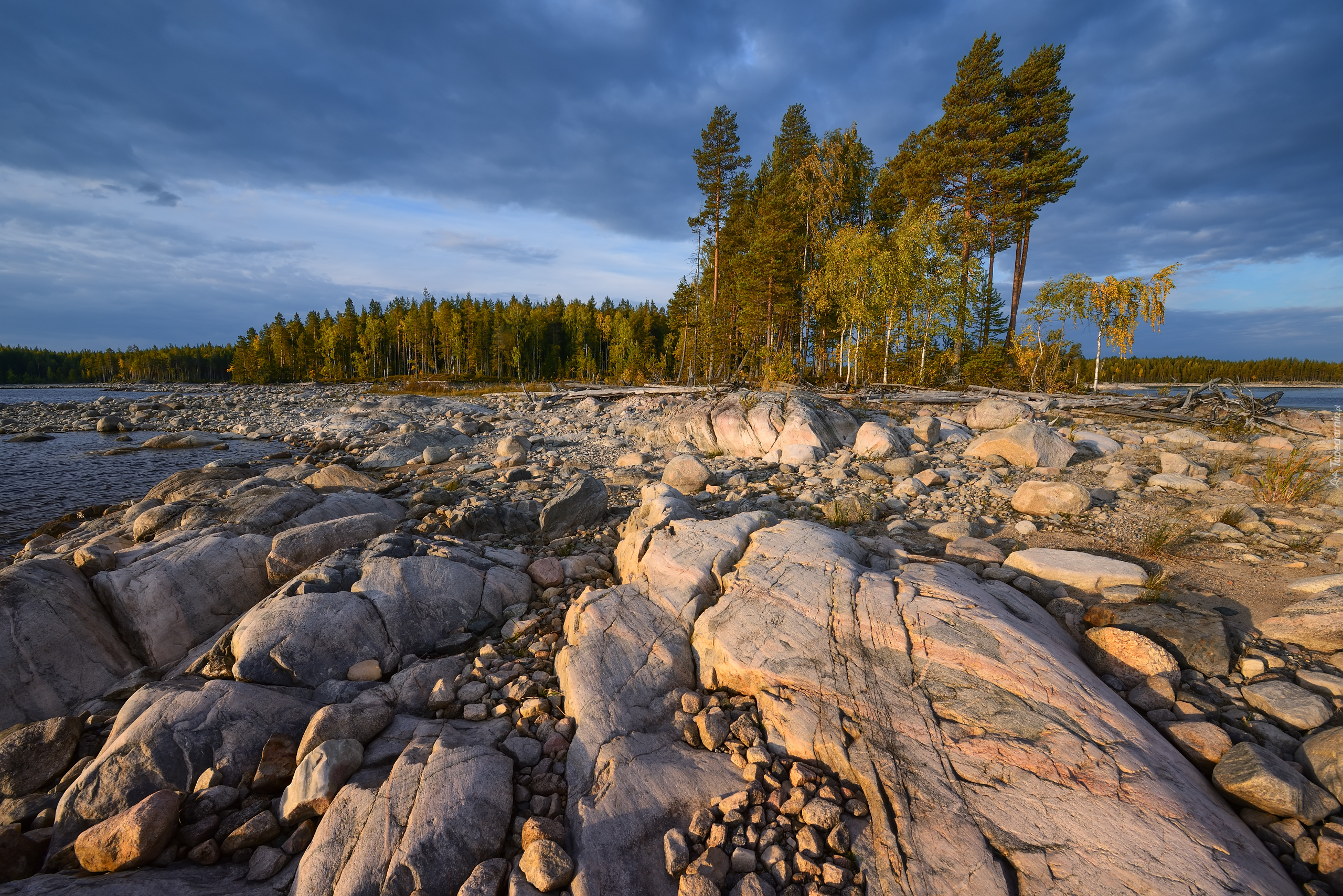 Jezioro Siegoziero, Kamienie, Skały, Drzewa, Karelia, Rosja