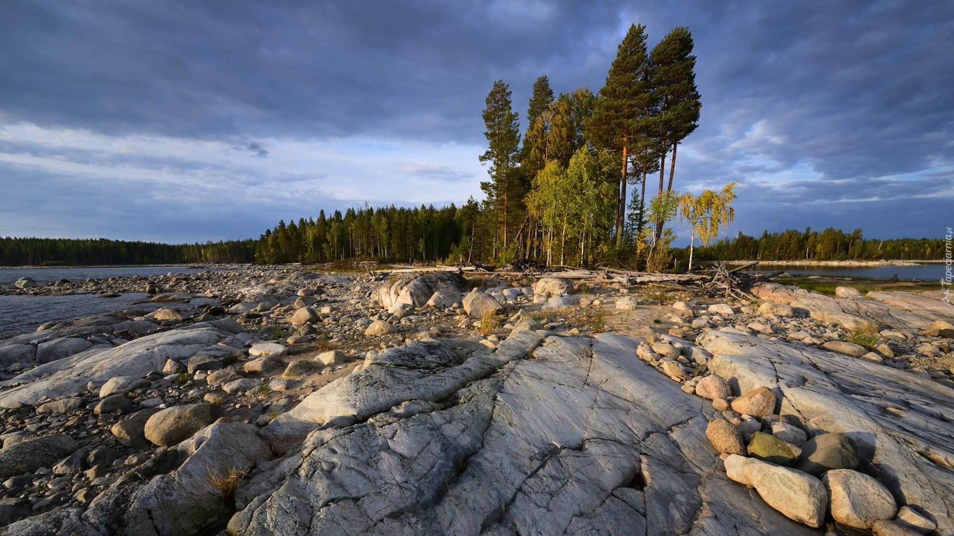 Jezioro Siegoziero, Skały, Kamienie, Drzewa, Karelia, Rosja