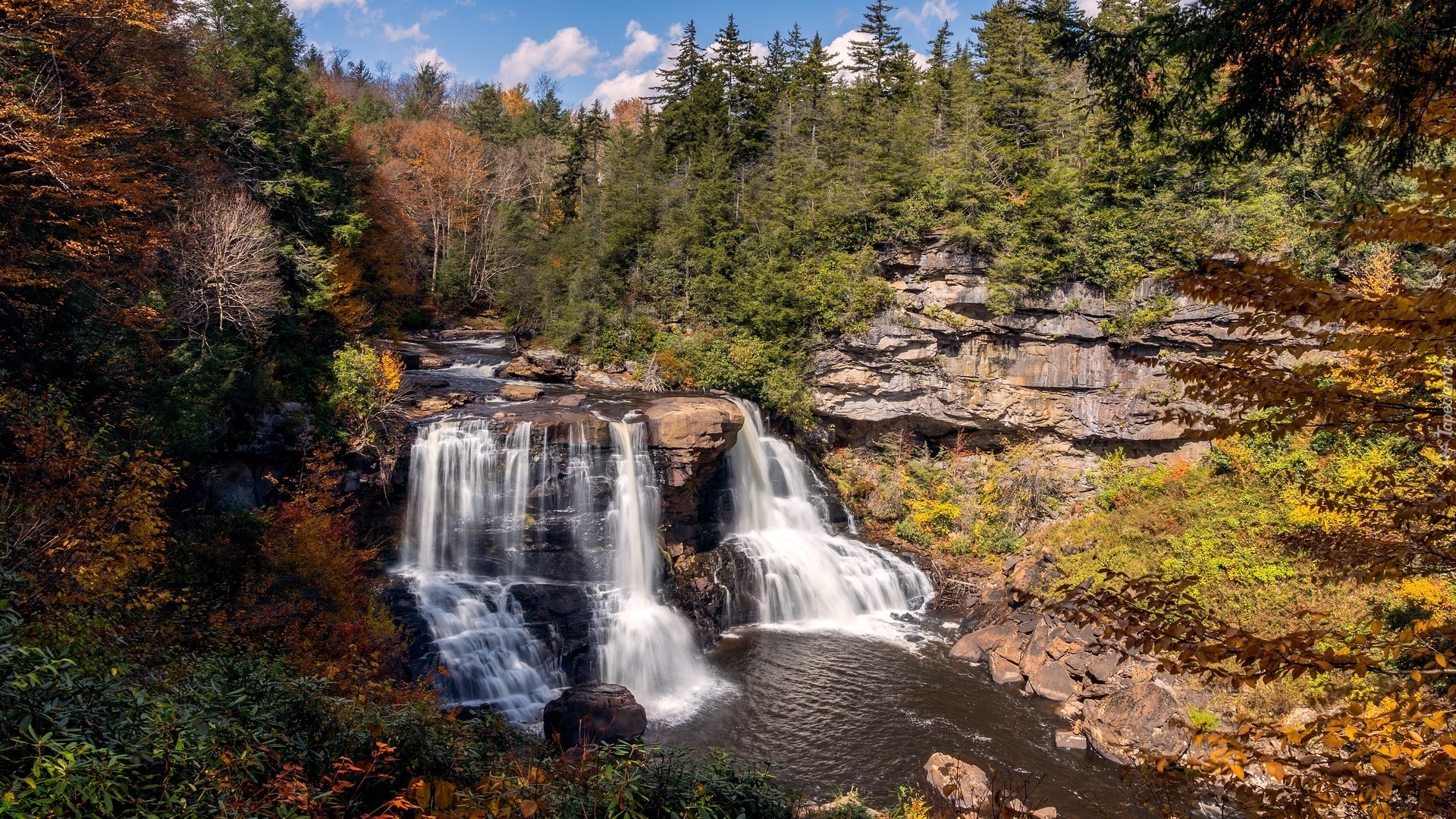 Skały, Wodospad, Blackwater Falls, Drzewa, Rośliny, Rzeka Blackwater, Wirginia, Stany Zjednoczone