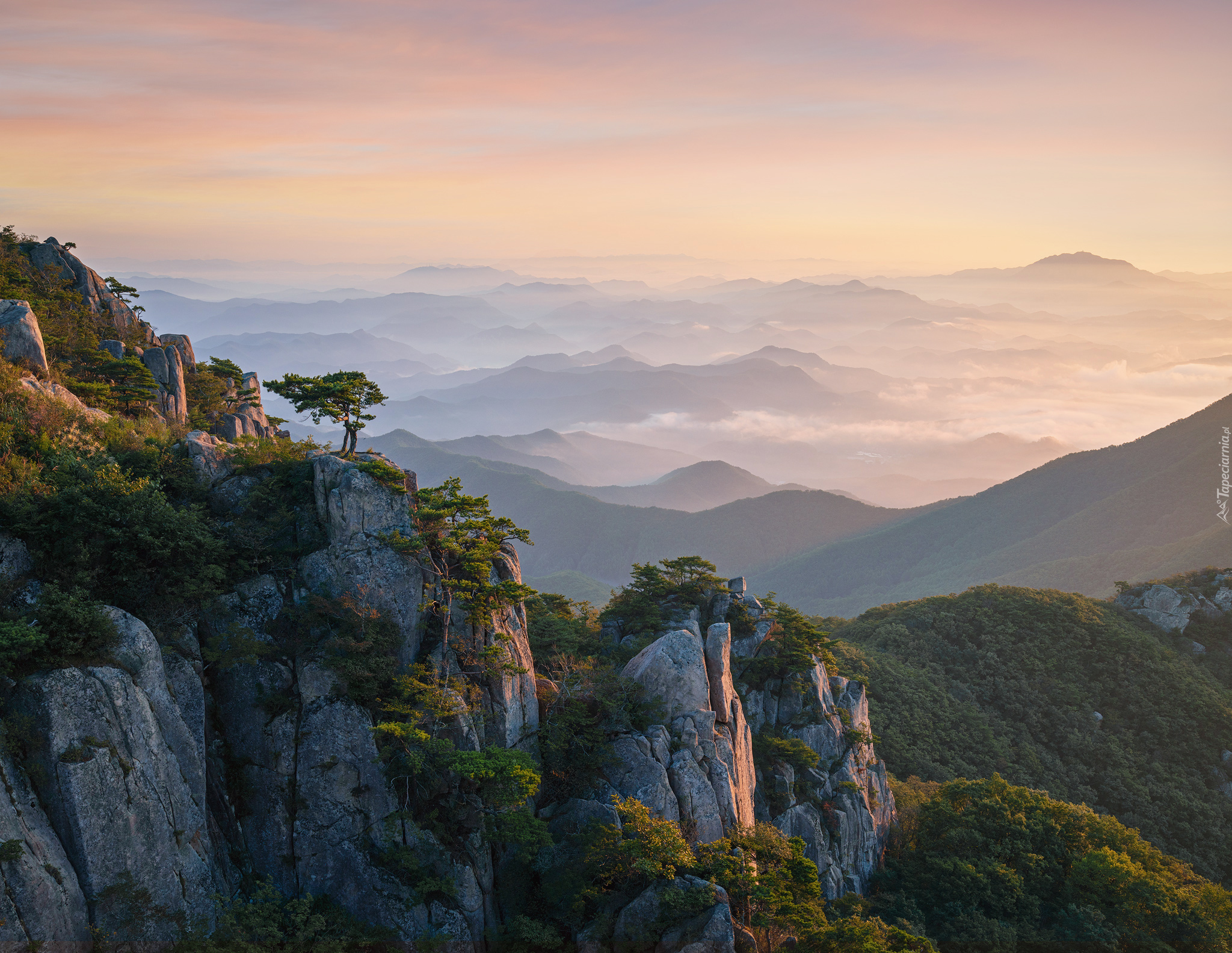 Park prowincjonalny Daedunsan, Góry, Wschód słońca, Drzewa, Skały, Prowincja Jeolla Północna, Korea Południowa