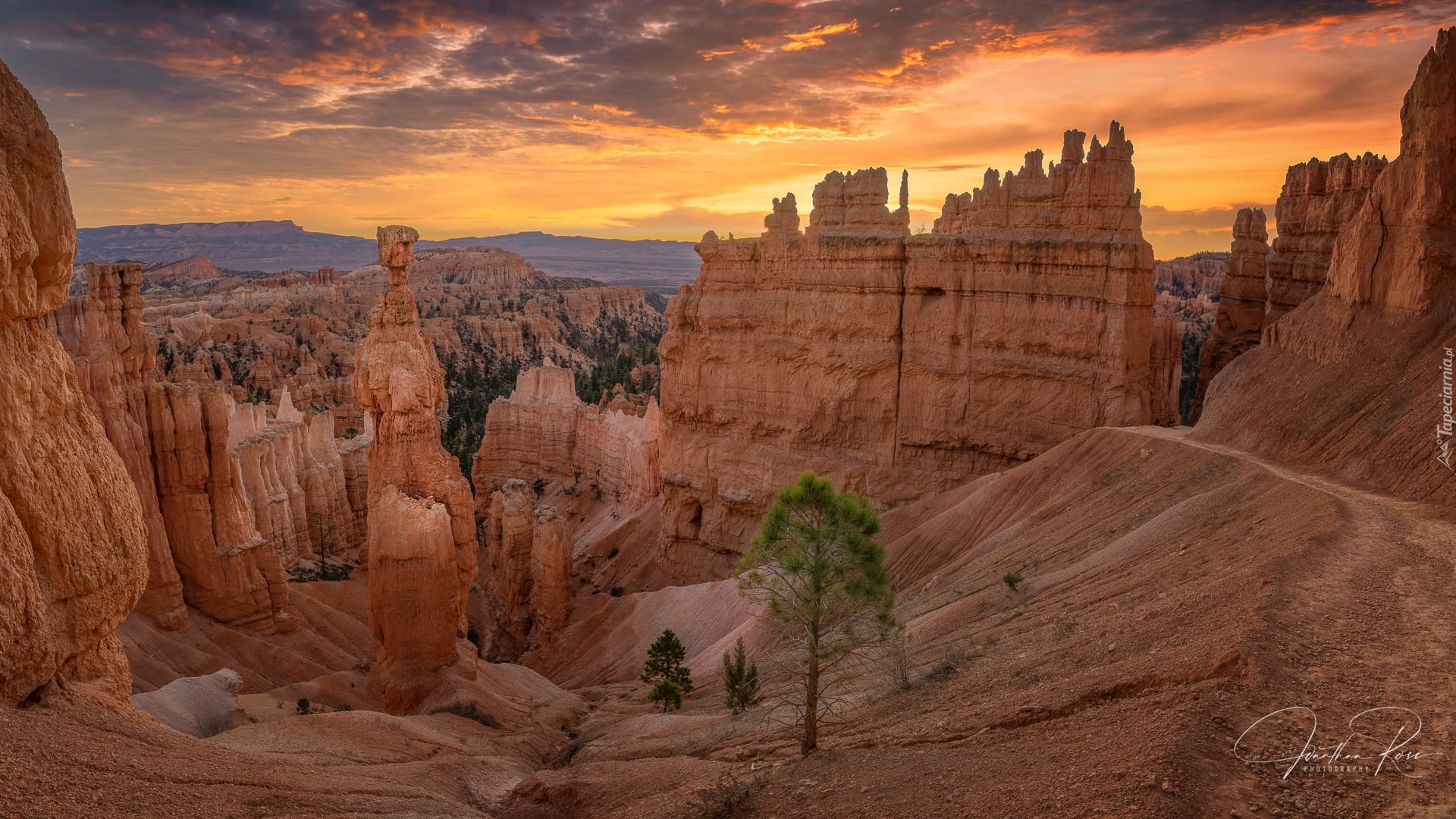 Stany Zjednoczone, Stan Utah, Park Narodowy Bryce Canyon, Skały, Roślinność, Zachód słońca, Chmury