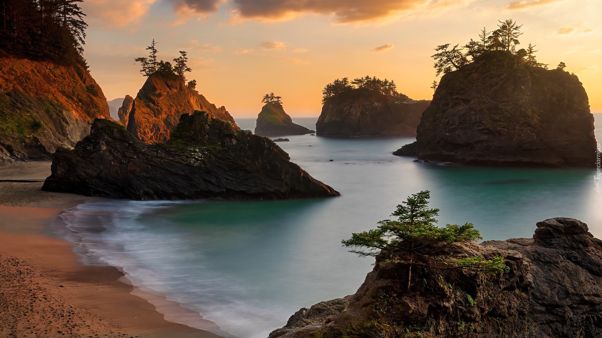 Stany Zjednoczone, Oregon, Morze, Wysepki, Skały, Plaża, Drzewa, Park stanowy, Samuel H Boardman State Scenic Corridor