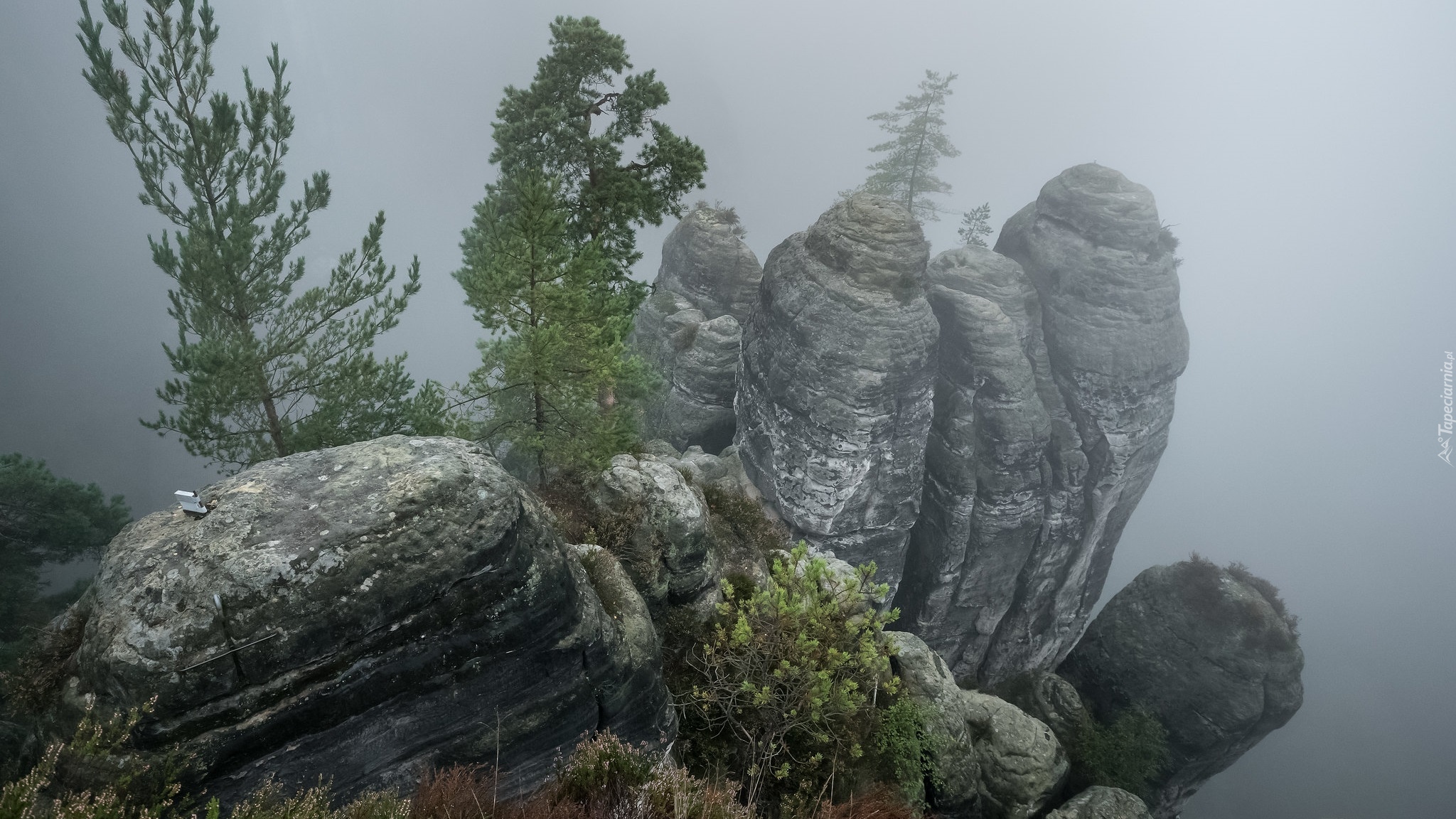 Skały, Drzewa, Mgła, Park Narodowy Saskiej Szwajcarii, Niemcy