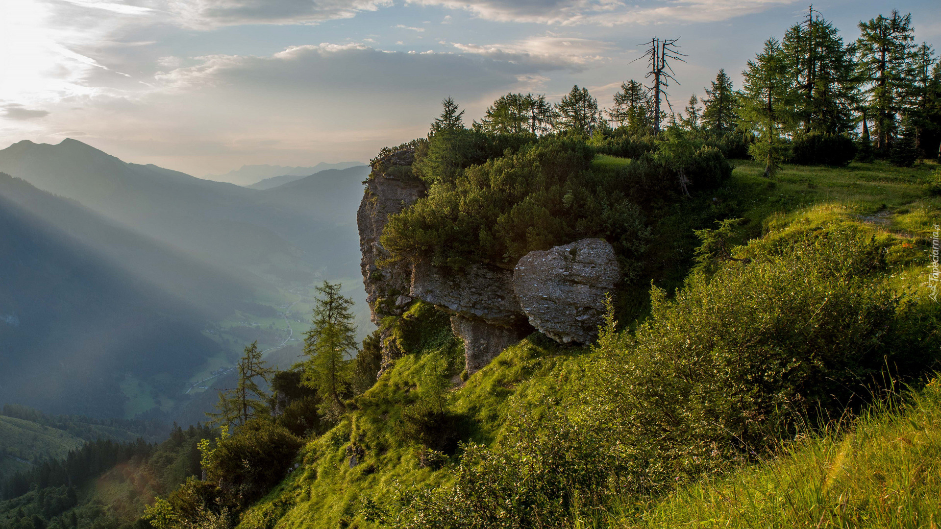 Drzewa, Góry, Dolina, Mgła, Skały