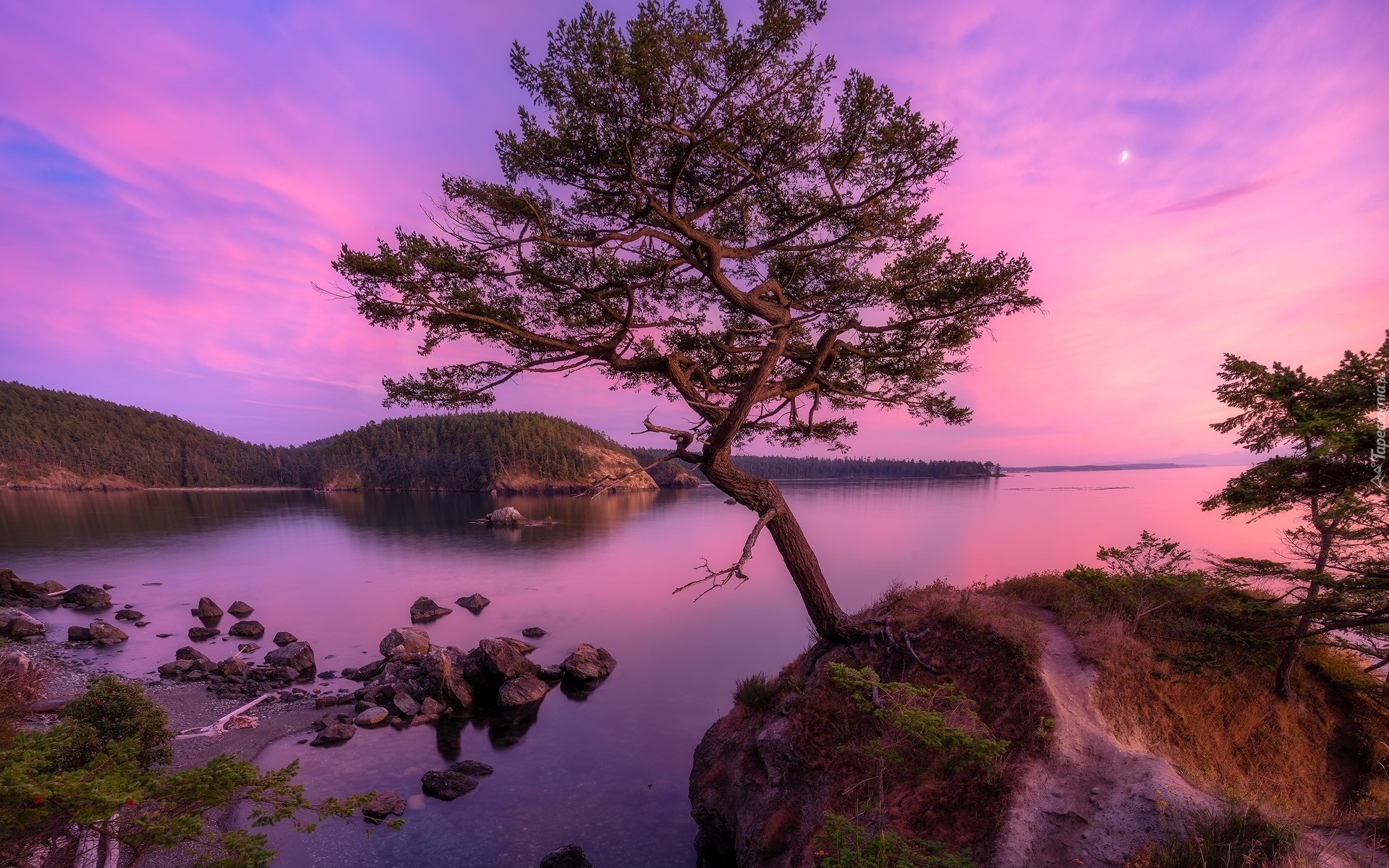 Stany Zjednoczone, Waszyngton, Morze, Cieśnina, Deception Pass, Kamienie, Drzewa, Księżyc, Zachód słońca