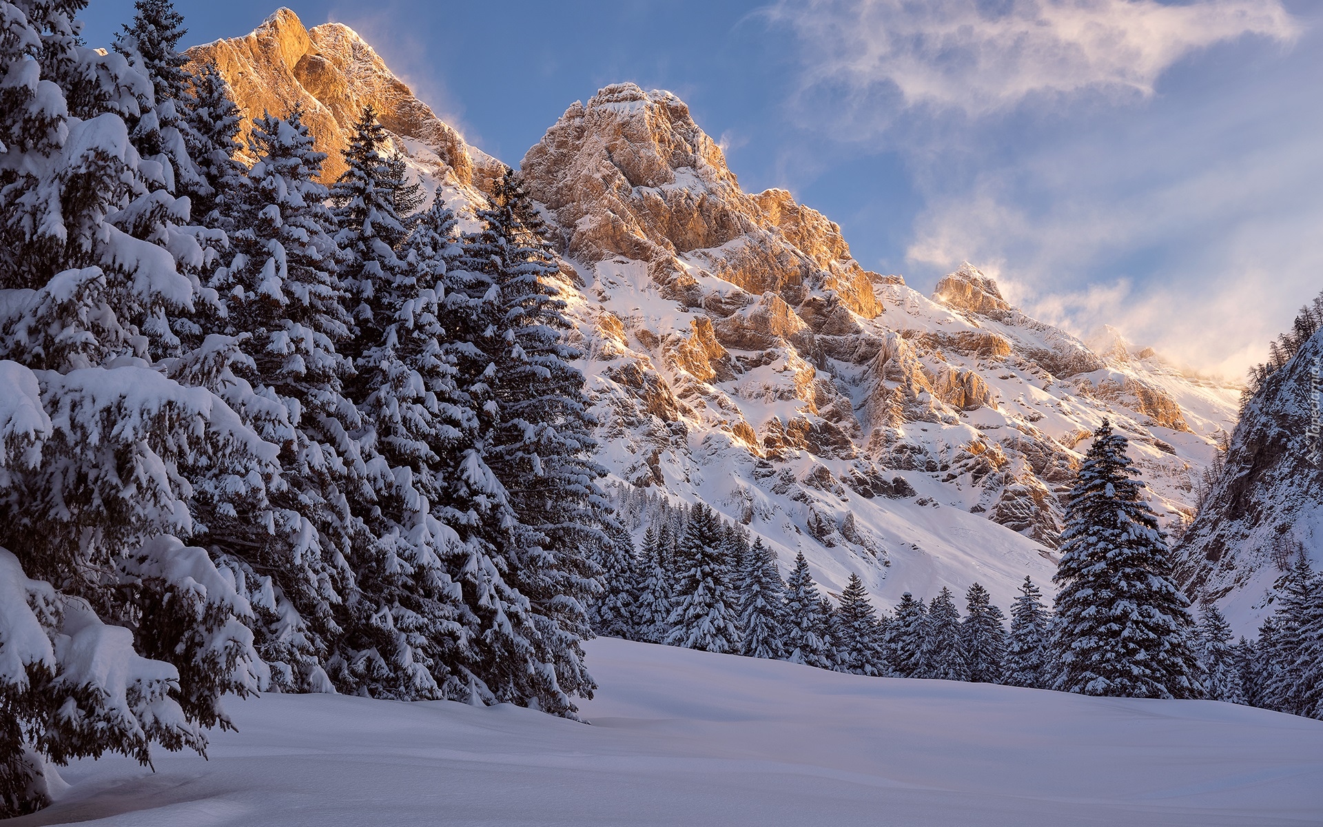 Zima, Góry, Drzewa, Szwajcaria