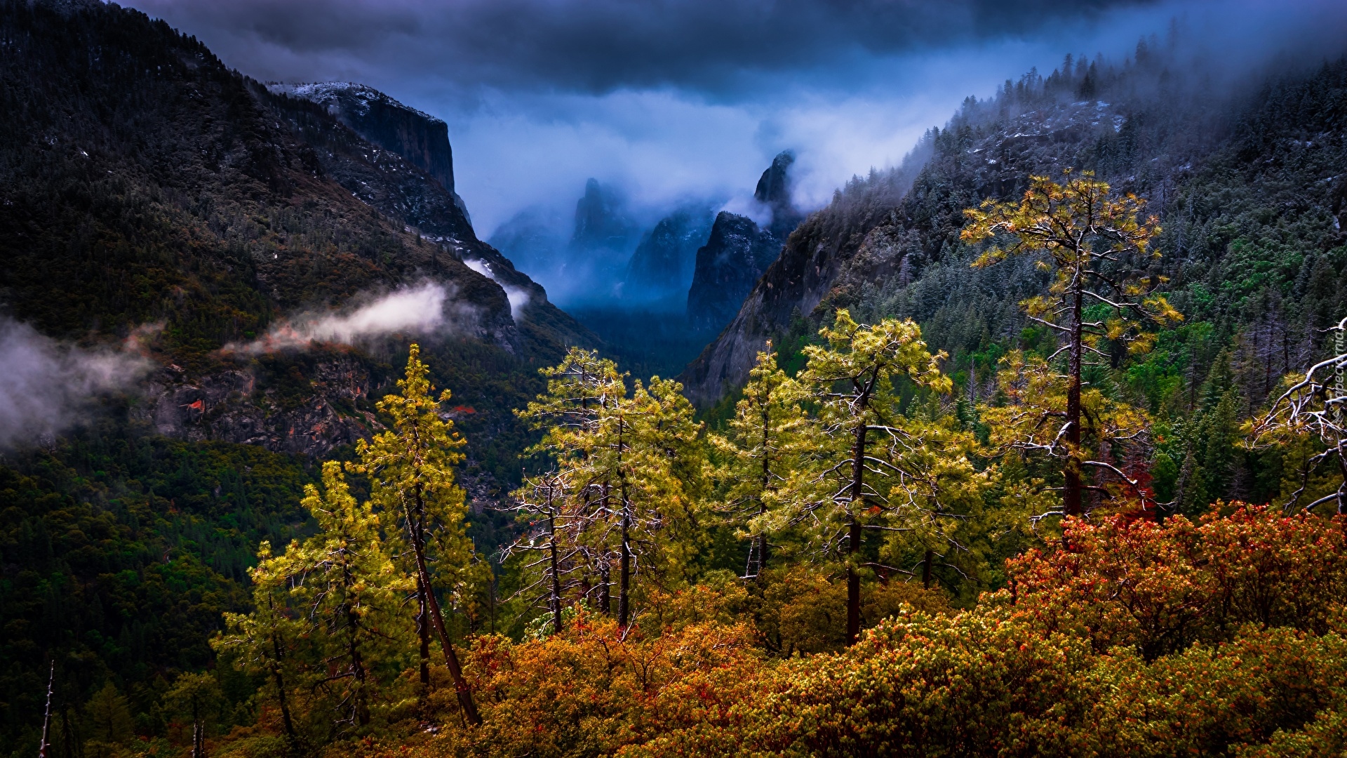Park Narodowy Yosemite, Góry, Sierra Nevada, Las, Drzewa, Chmury, Stan Kalifornia, Stany Zjednoczone