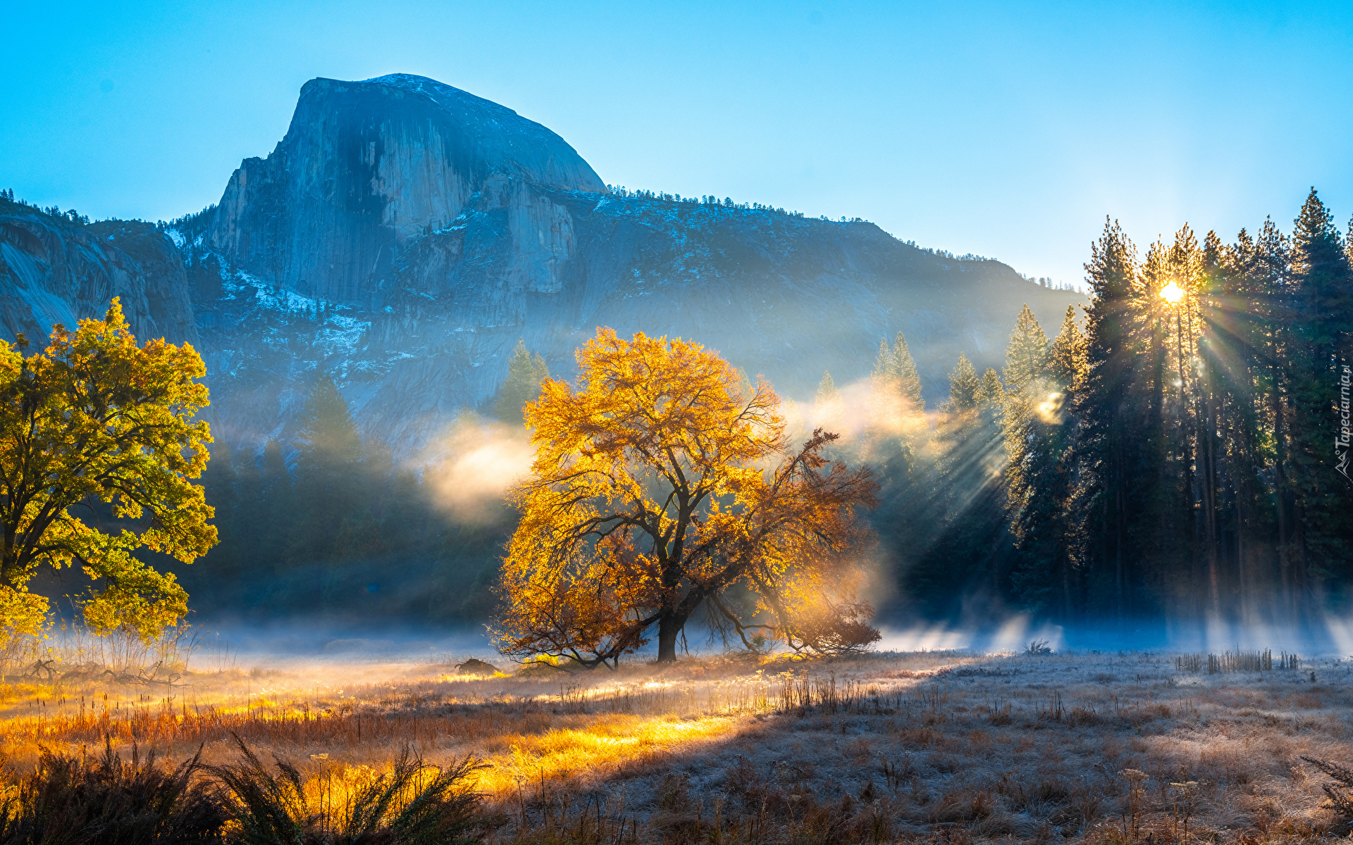 Stany Zjednoczone, Kalifornia, Park Narodowy Yosemite, Góra Half Dome, Jesień, Góry, Drzewa, Mgła