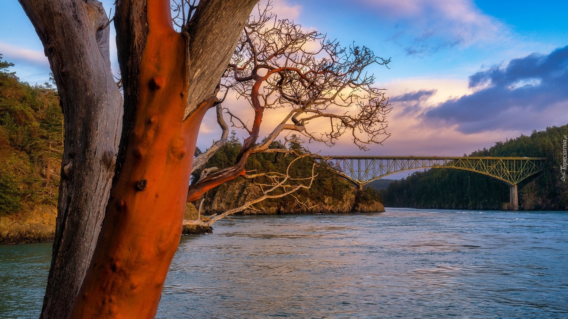 Stany Zjednoczone, Waszyngton, Most, Deception Pass Bridge, Cieśnina, Deception Pass, Las, Drzewa, Chmury