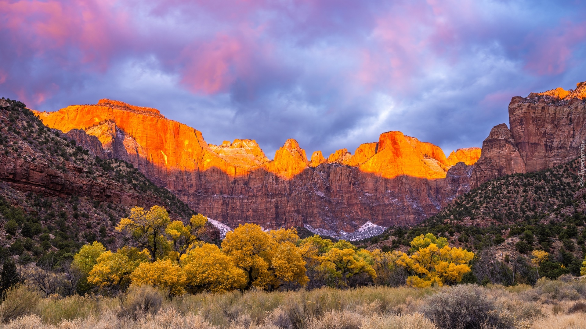 Góry, Drzewa, Jesień, Chmury, Park Narodowy Zion, Utah, Stany Zjednoczone