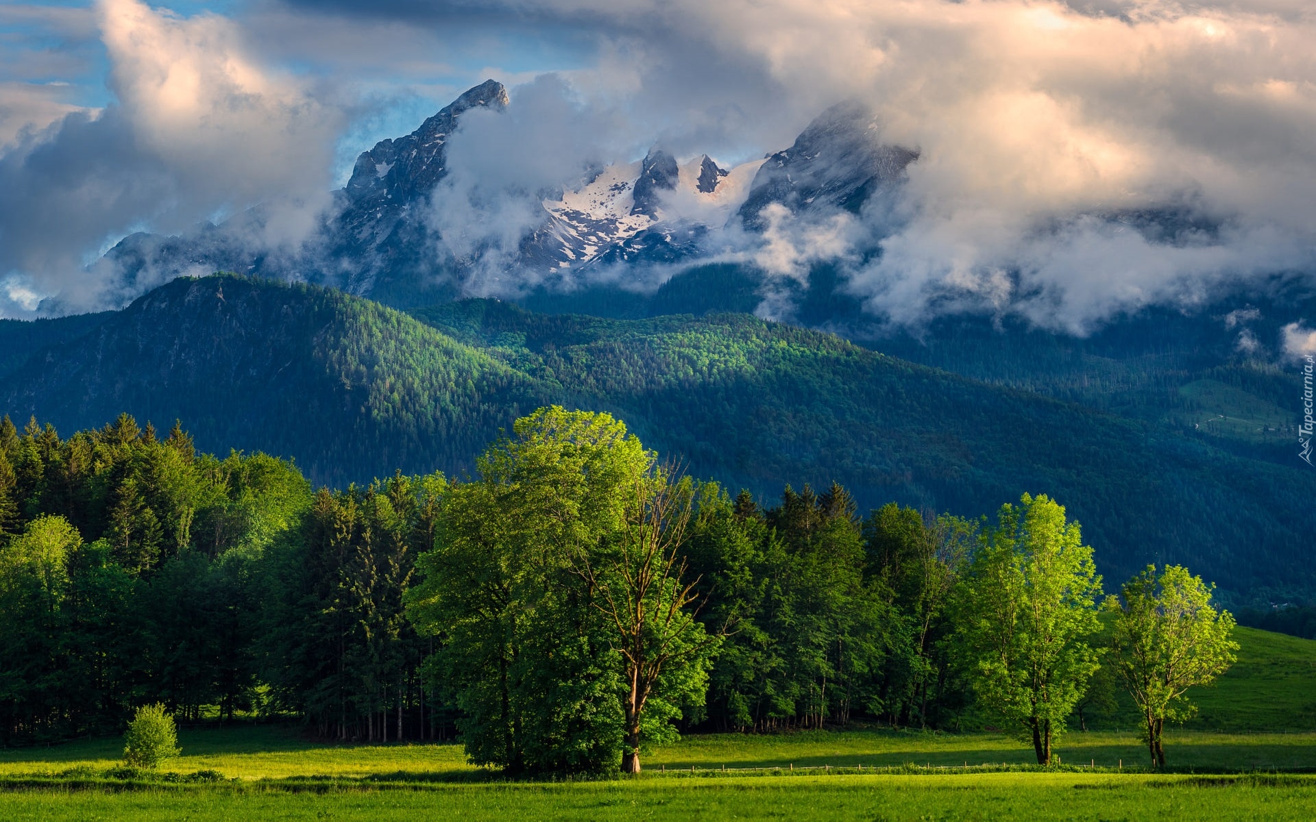 Góry, Alpy Berchtesgadeńskie, Las, Drzewa, Chmury, Bawaria, Niemcy