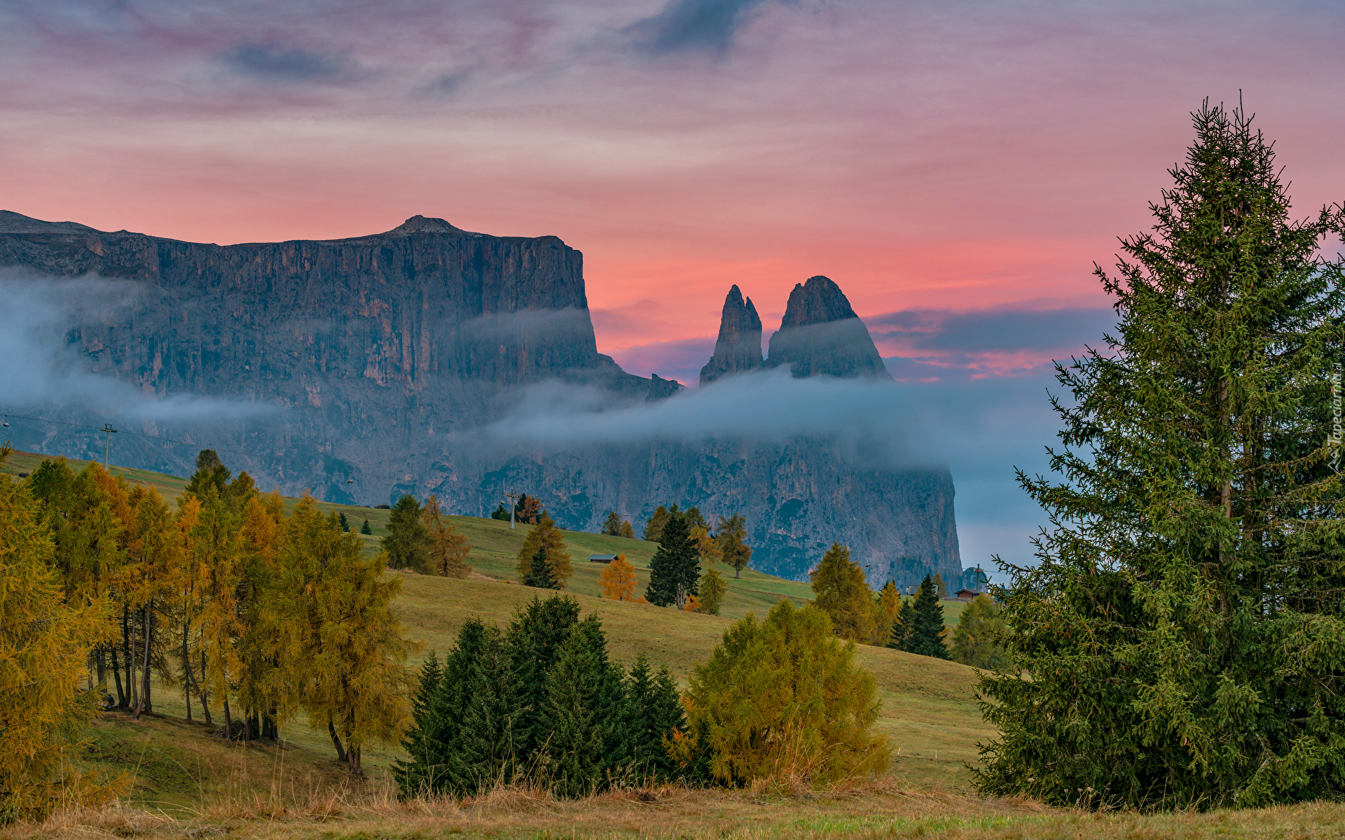 Góry, Dolomity, Góra Schlern, Skały, Las, Drzewa, Polana, Mgła, Tyrol, Włochy