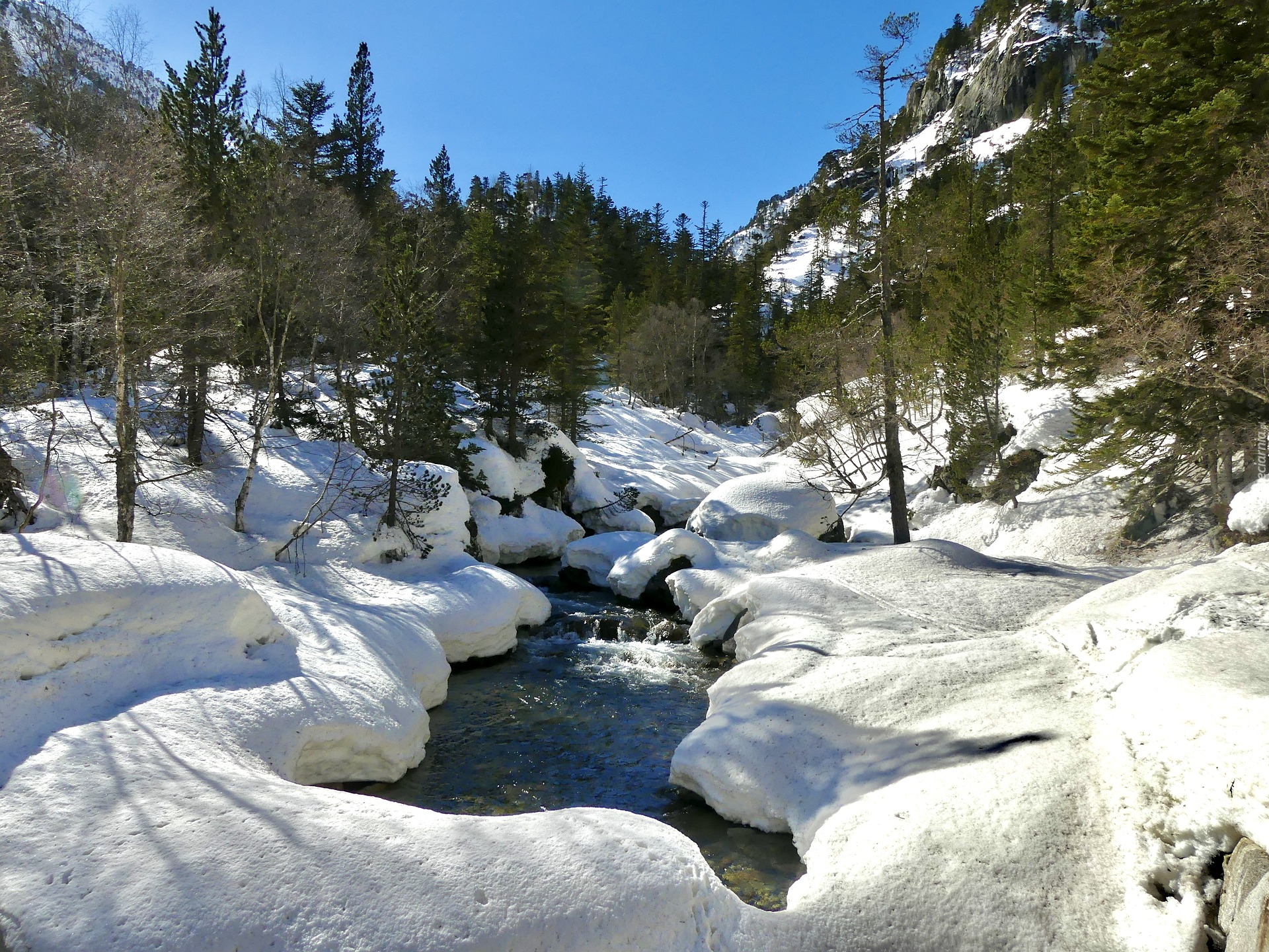 Zima, Góry, Strumień, Śnieg, Drzewa