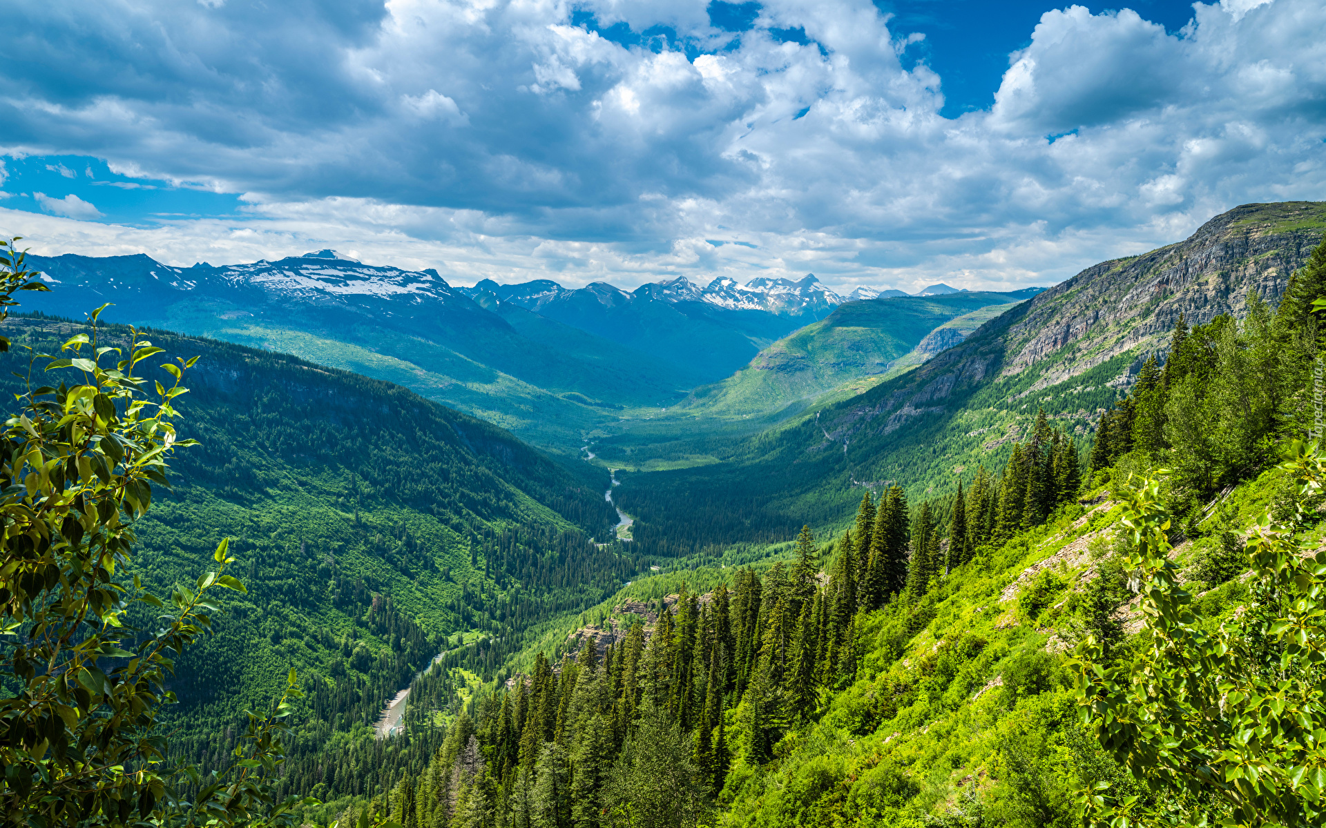 Góry Skaliste, Las, Drzewa, Dolina, Chmury, Park Narodowy Glacier, Montana, Stany Zjednoczone