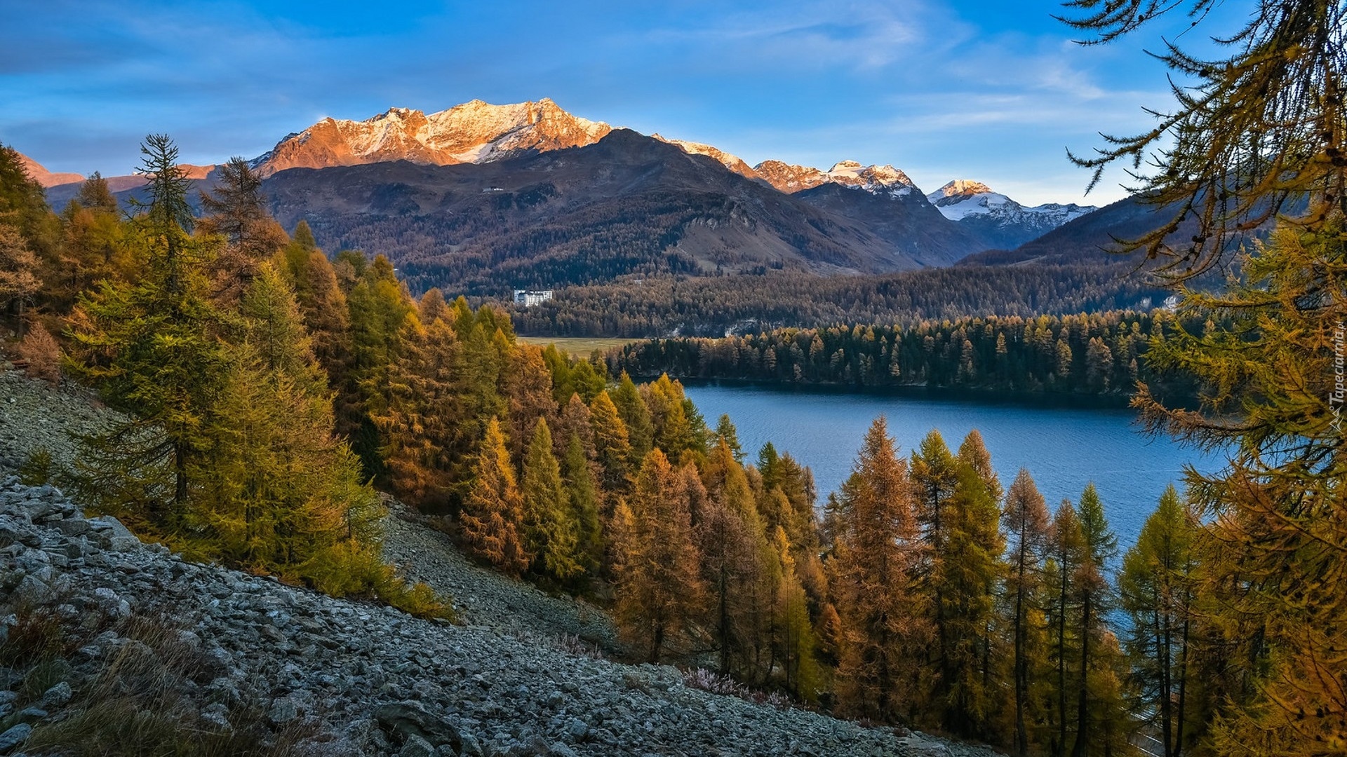 Góry, Jezioro, Drzewa, Zbocze, Kamienie