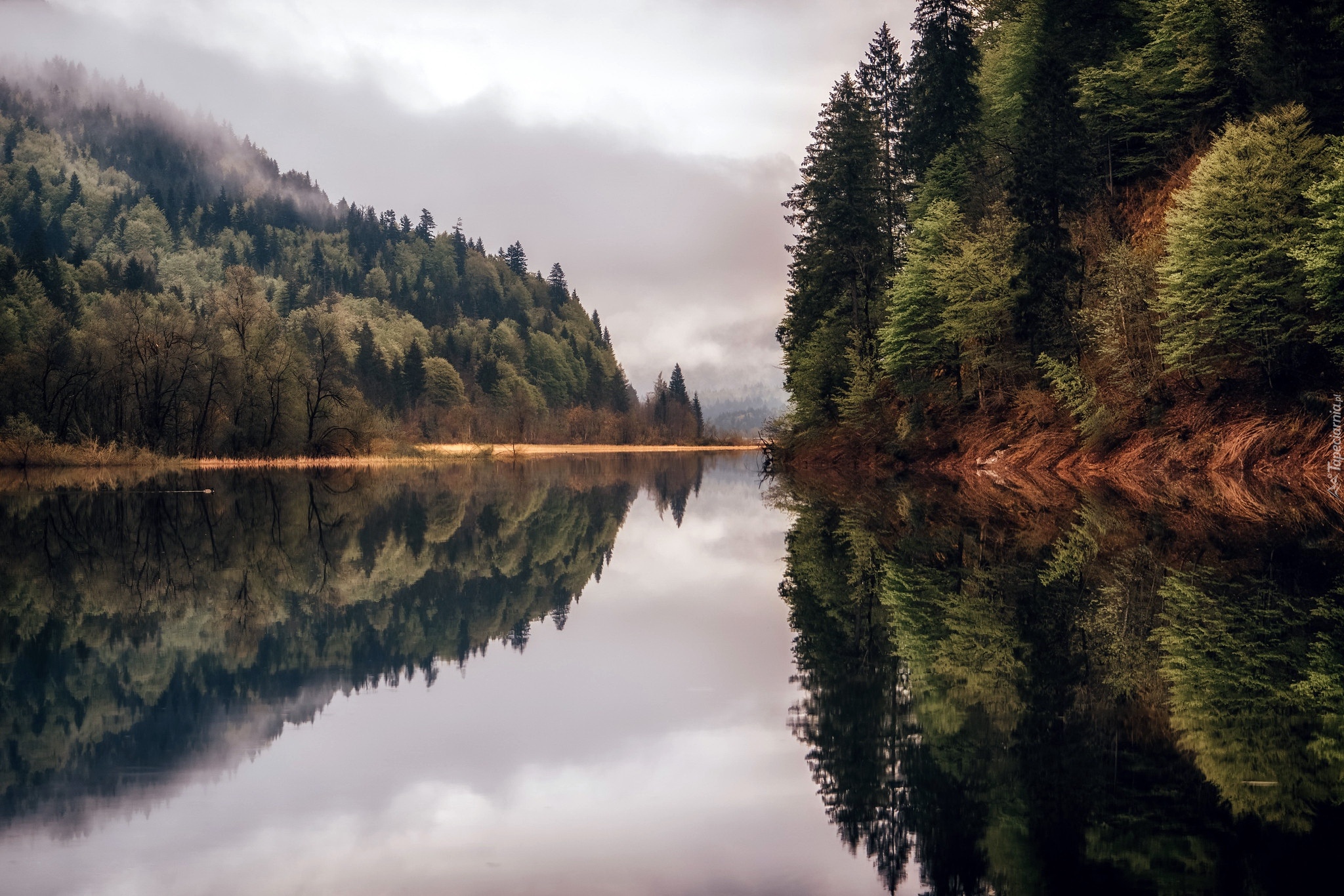 Jezioro Bergsee, Drzewa, Odbicie, Las, Mgła, Bawaria, Niemcy