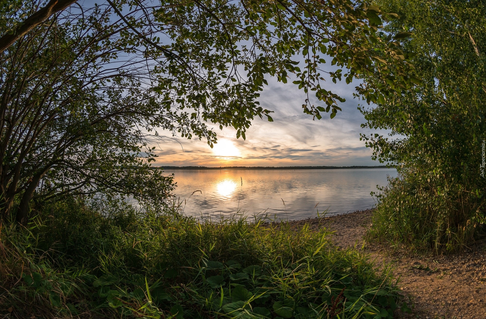 Jezioro, Wschód słońca, Drzewa, Trawa