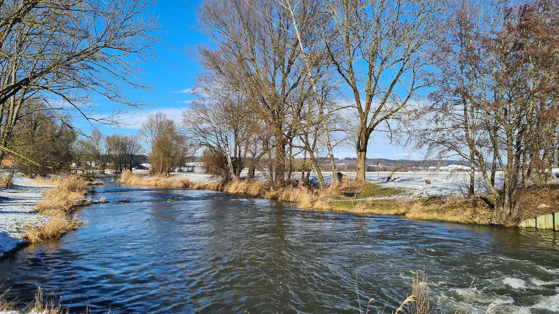 Zima, Rzeka, Bezlistne, Drzewa, Śnieg