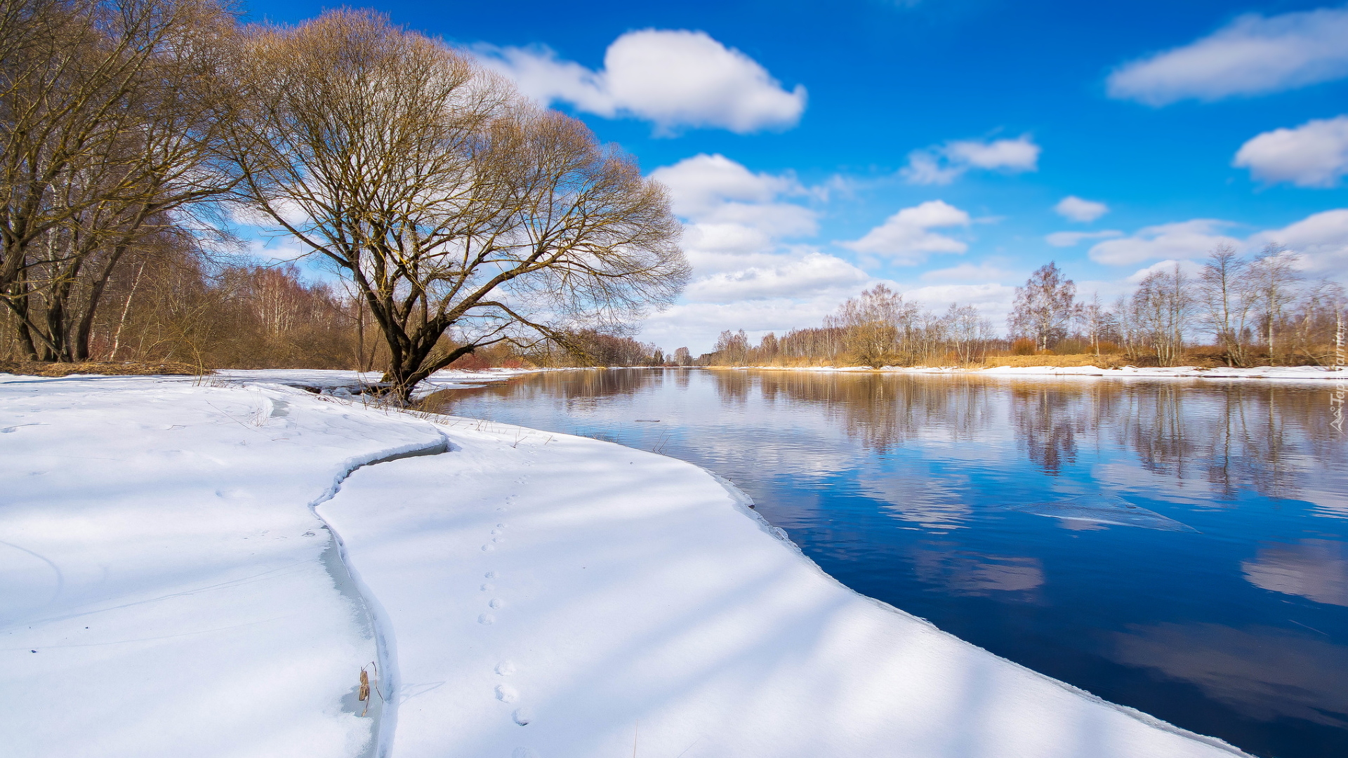 Zima, Drzewa, Rzeka, Emajogi River, Prowincja Tartu, Estonia