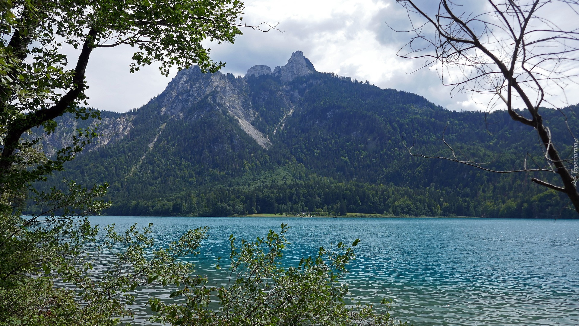 Jezioro, Alpy, Bawaria, Drzewa, Niemcy