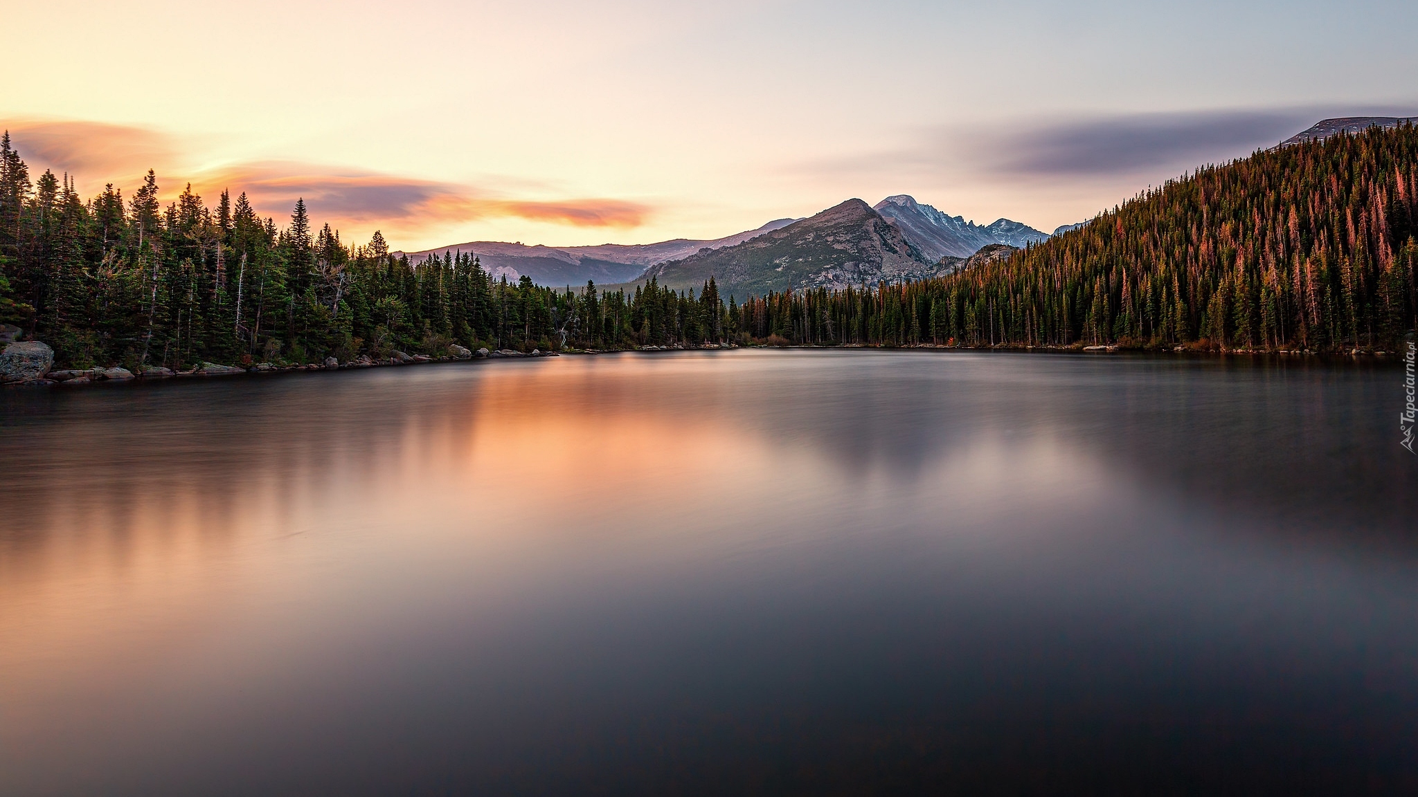 Góry, Drzewa, Świerki, Jezioro Bear Lake, Park Narodowy Gór Skalistych, Stan Kolorado, Stany Zjednoczone
