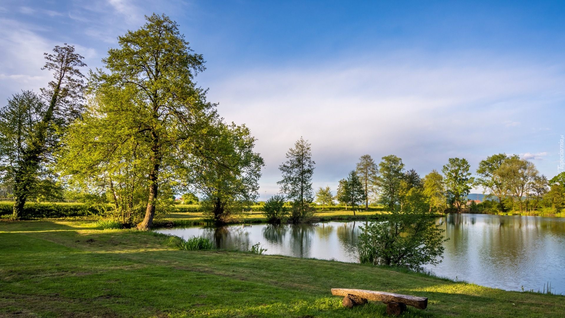 Chorwacja, Żupania Zagrzebska, Jezioro Bobovica, Drzewa, Zieleń, Trawa