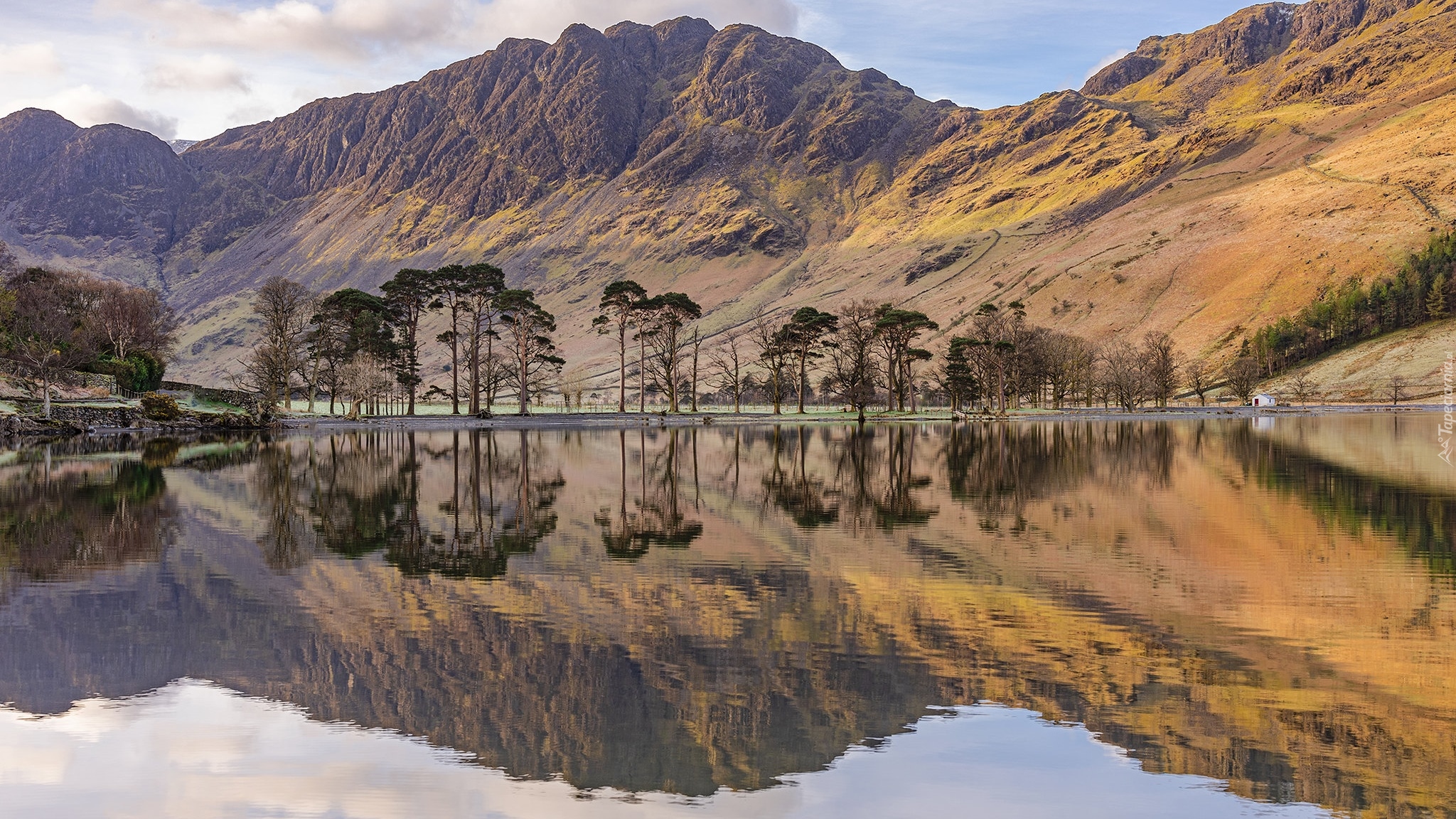 Góry, Jezioro, Buttermere Lake, Drzewa, Odbicie, Kumbria, Anglia