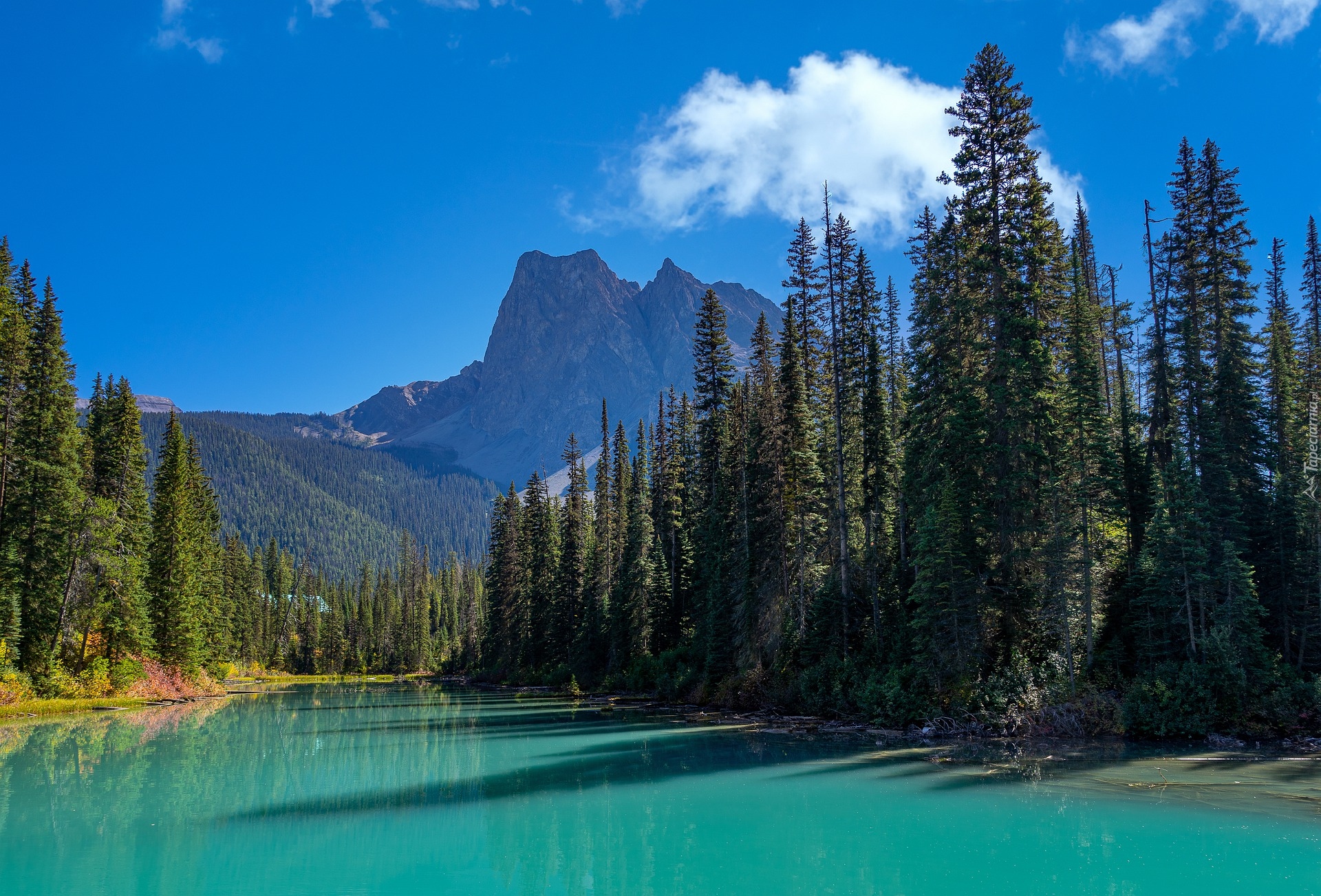 Jezioro, Emerald Lake, Drzewa, Góry Skaliste, Park Narodowy Yoho, Kolumbia Brytyjska, Kanada