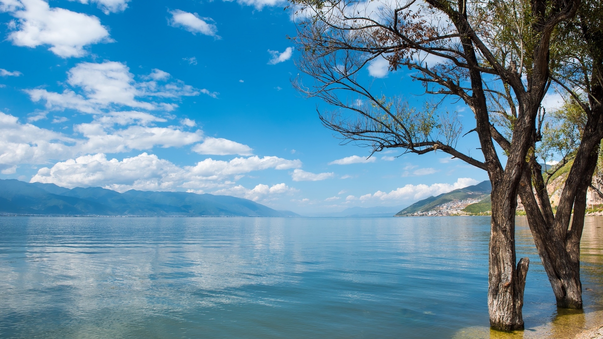 Drzewa, Jezioro, Er Hai, Erhai Lake, Góry, Chmury, Prowincja Junnan, Chiny