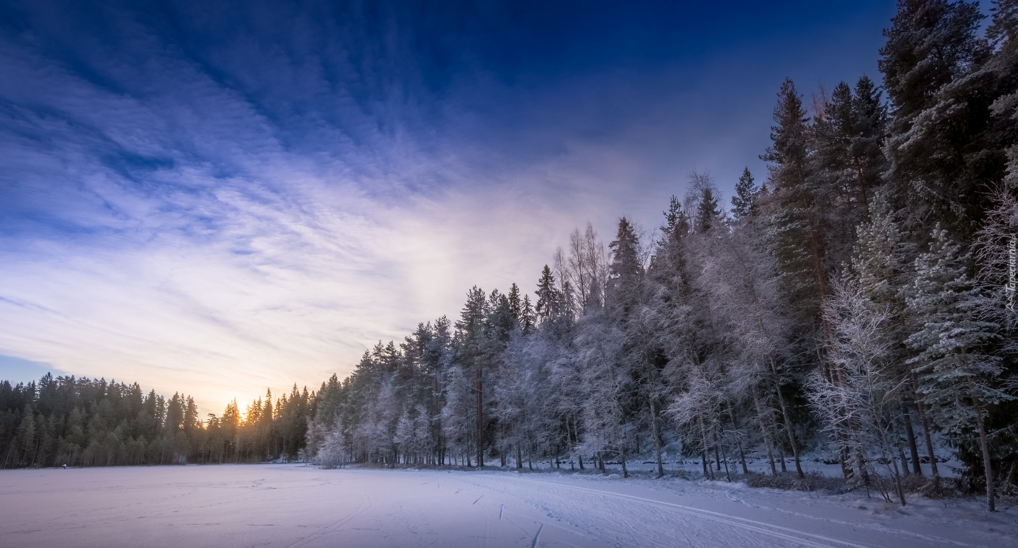 Finlandia, Prowincja Häme, Zamarznięte, Jezioro Kahtoilampi, Zima, Las, Drzewa