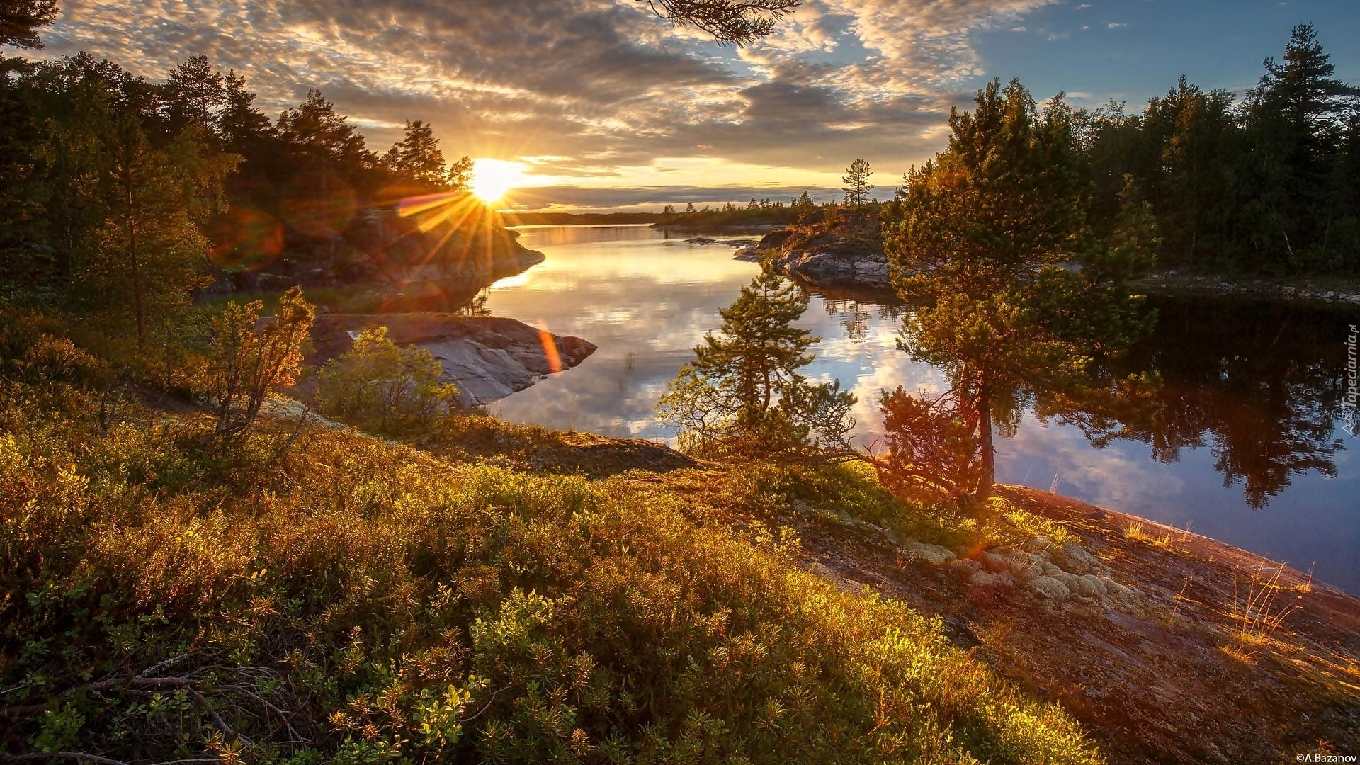 Jesień, Jezioro Ładoga, Zachód słońca, Drzewa, Krzewy, Karelia, Rosja